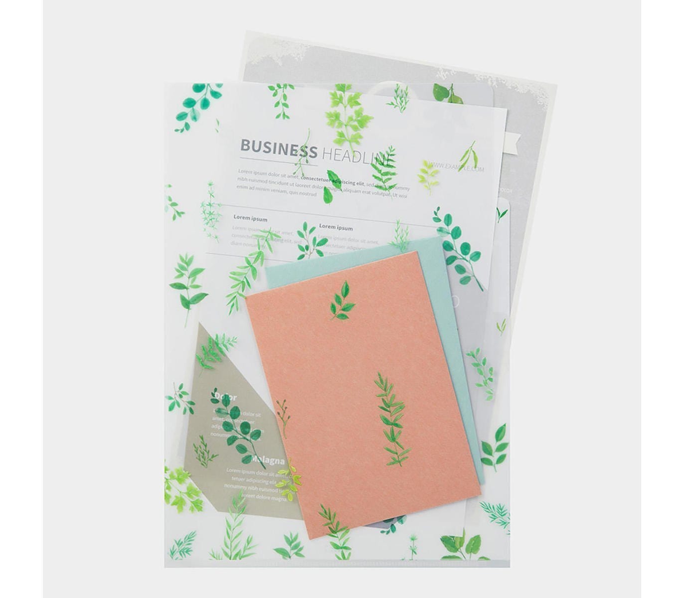 Midori Accessori Cartellina con 3 tasche Leaves