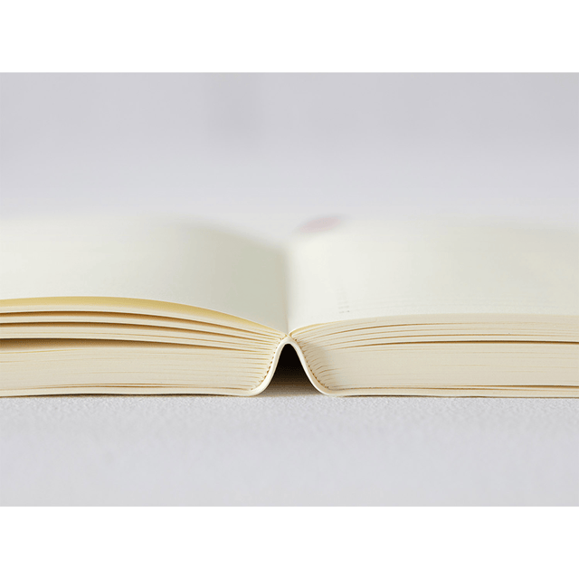 Midori Agenda Agenda MD Paper Notebook Diary - 1 day 1 page 2026 - Daily A5
