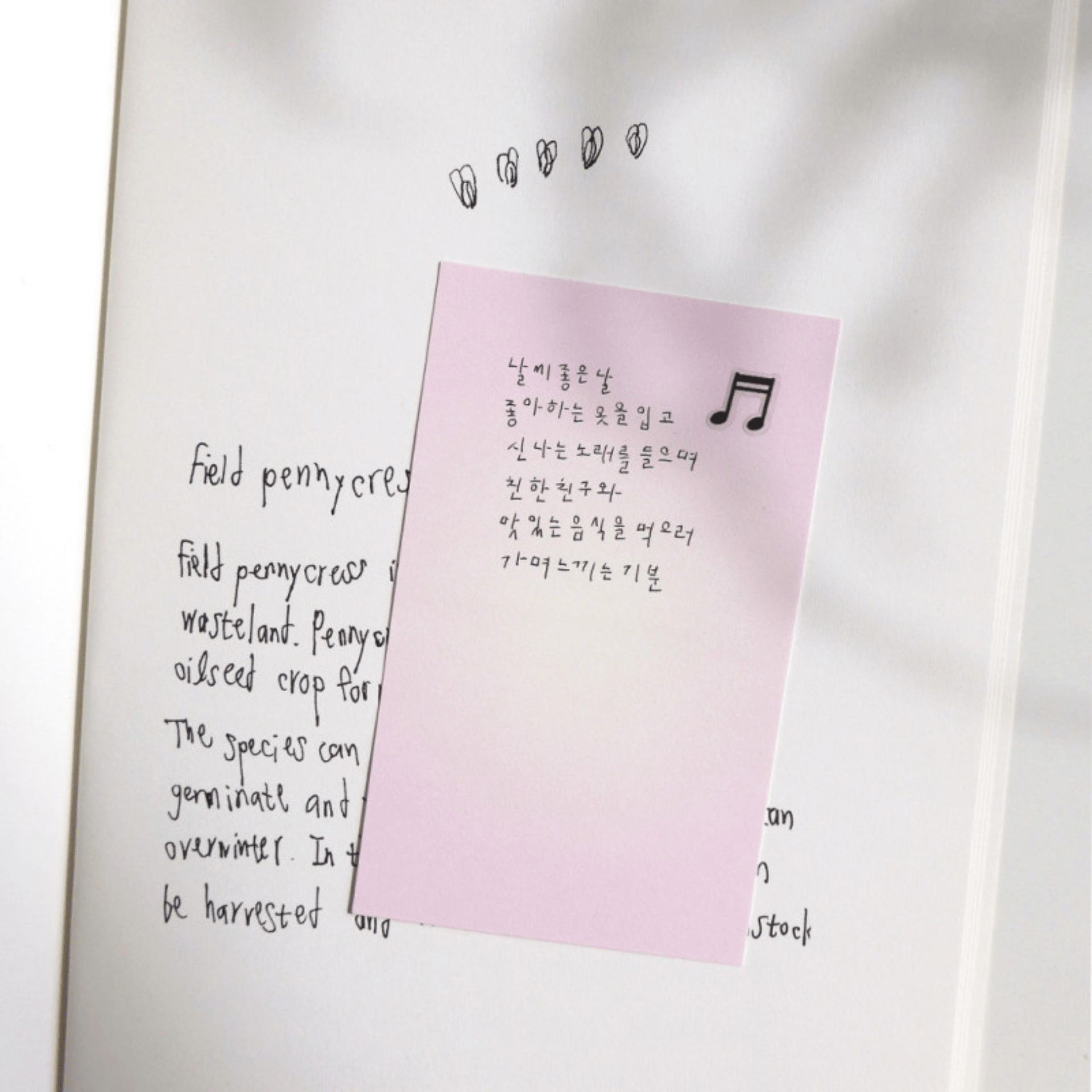 Suatelier Notes Sticky Memo - Daily Plan 53