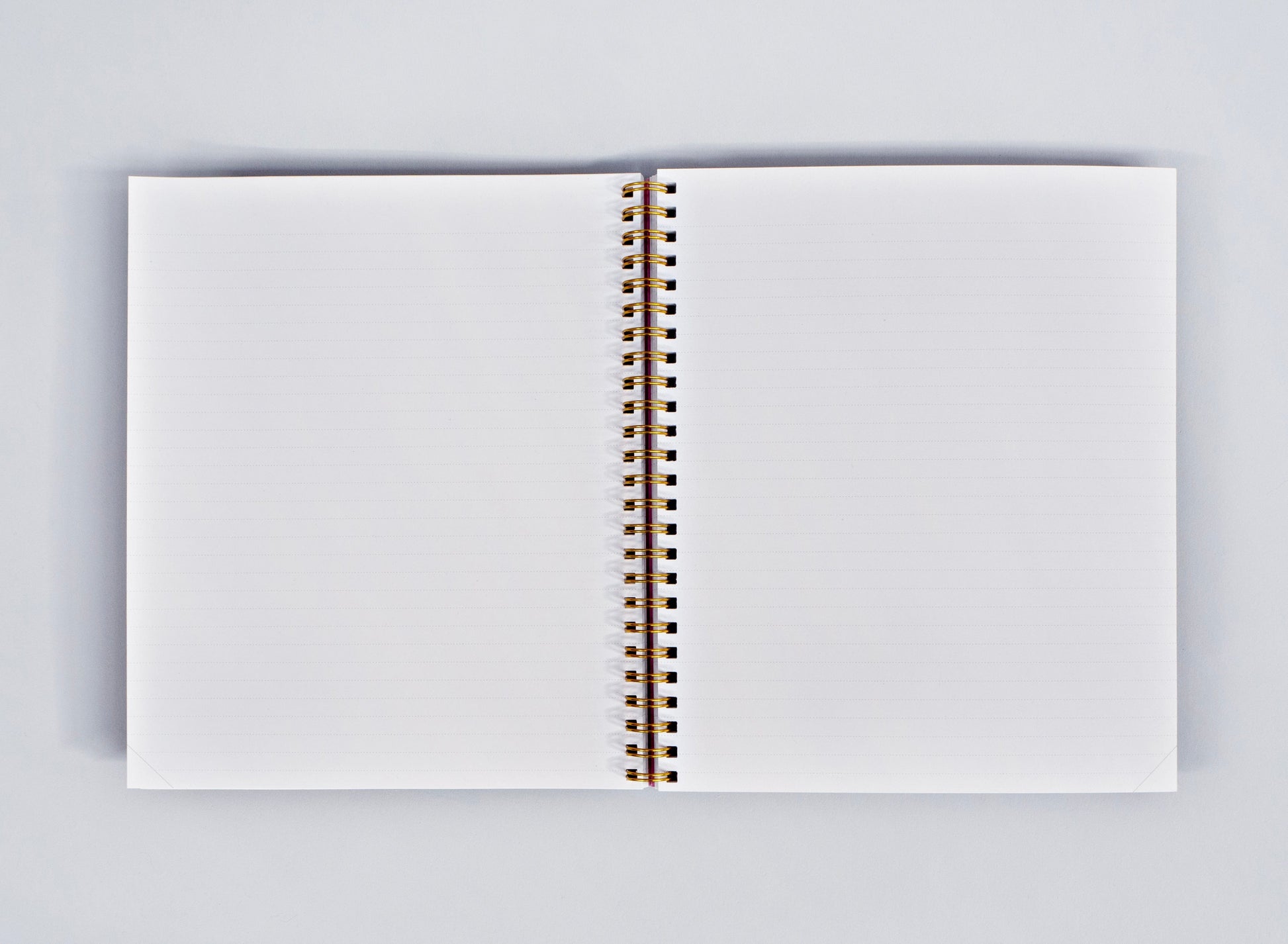 SayPaper Quaderni Quaderno Wiro Bowery