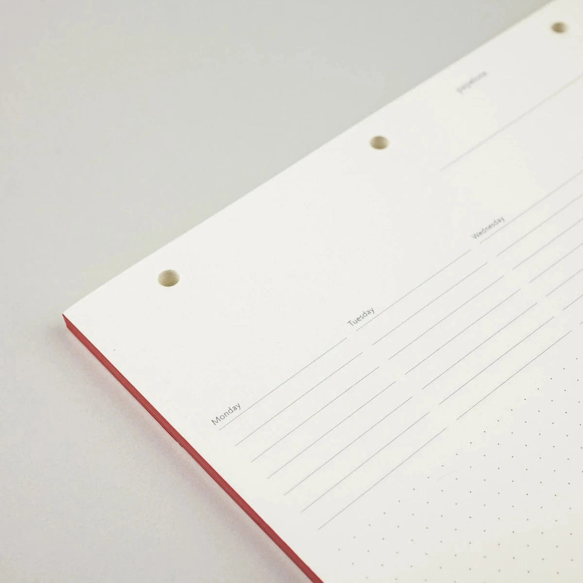 Papelote Quaderni Refill per Planoo A4 - Planner