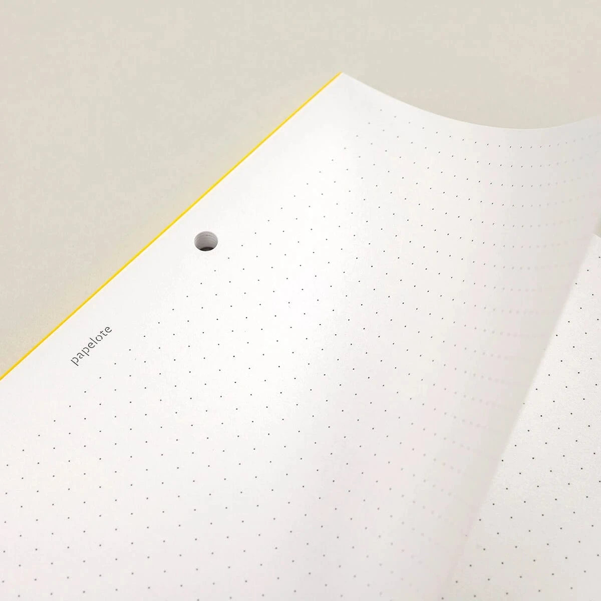 Papelote Quaderni DOTTED - PUNTINATO Refill per Planoo A5