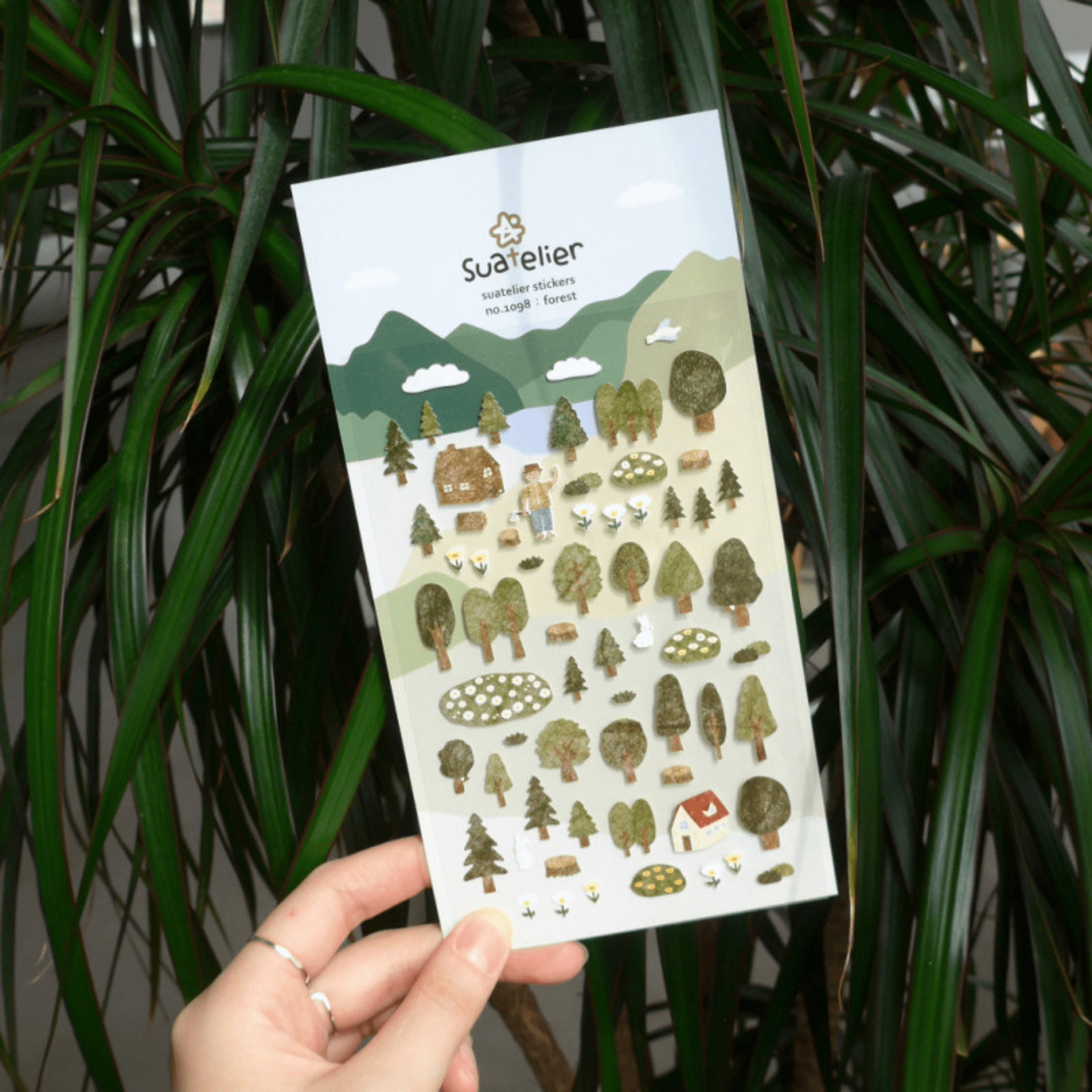 Suatelier Stickers Stickers Daily Deco - Forest