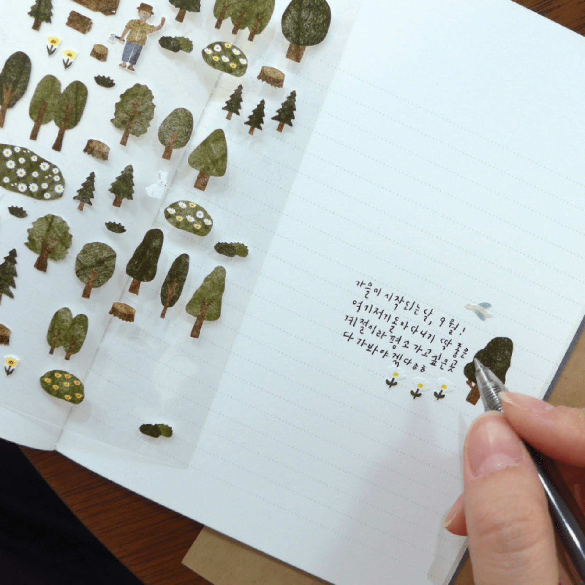 Suatelier Stickers Stickers Daily Deco - Forest