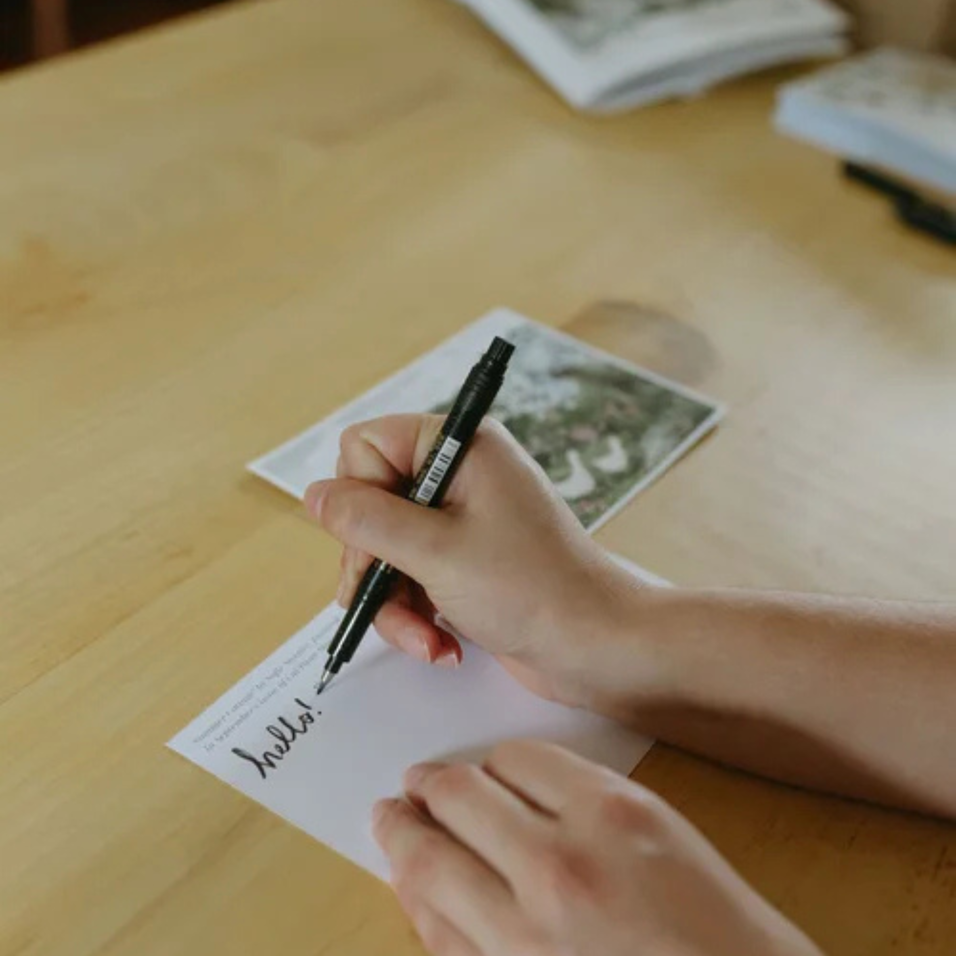 Cut + Paste MEADOW — Issue 01