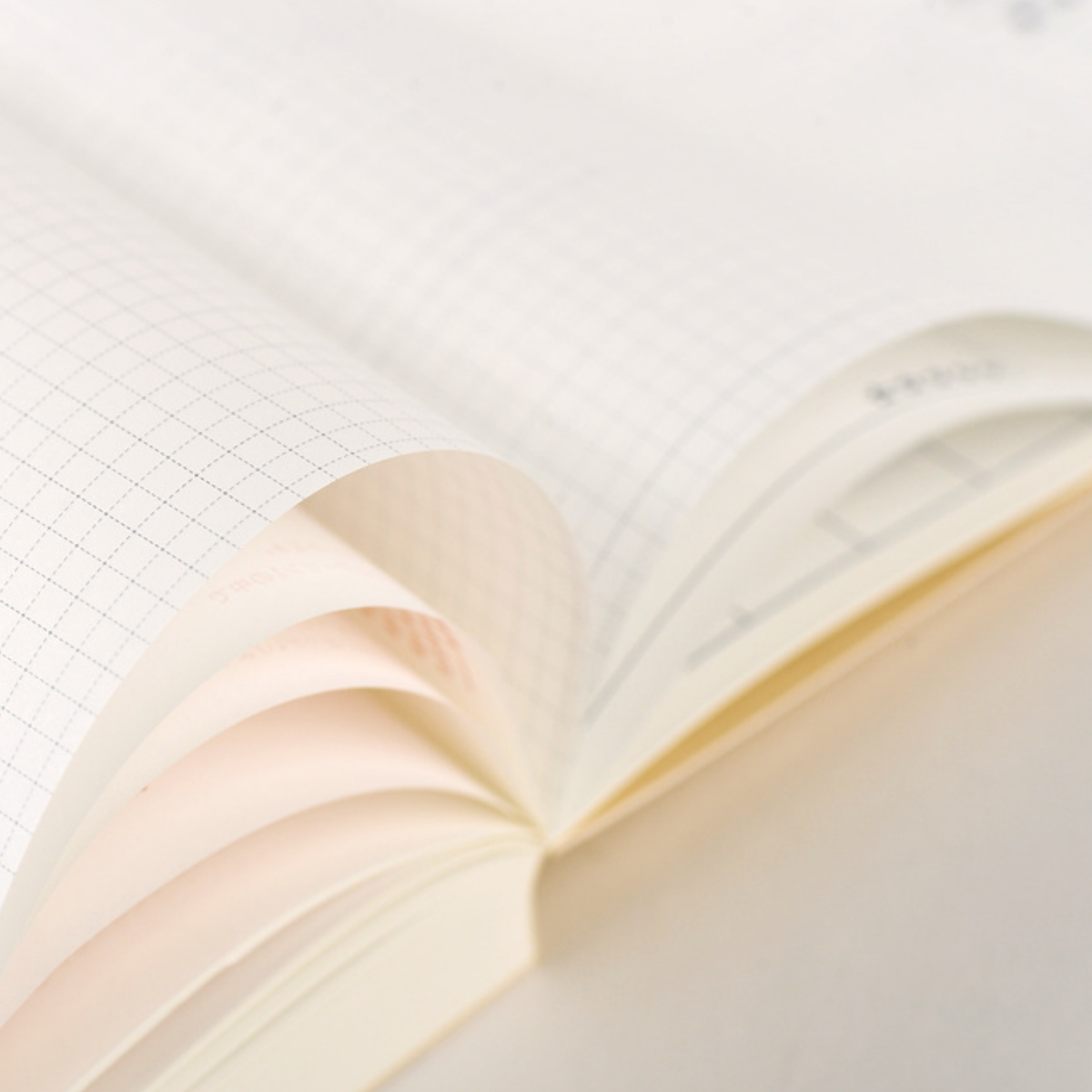 Hobonichi Techo Day Free 2027