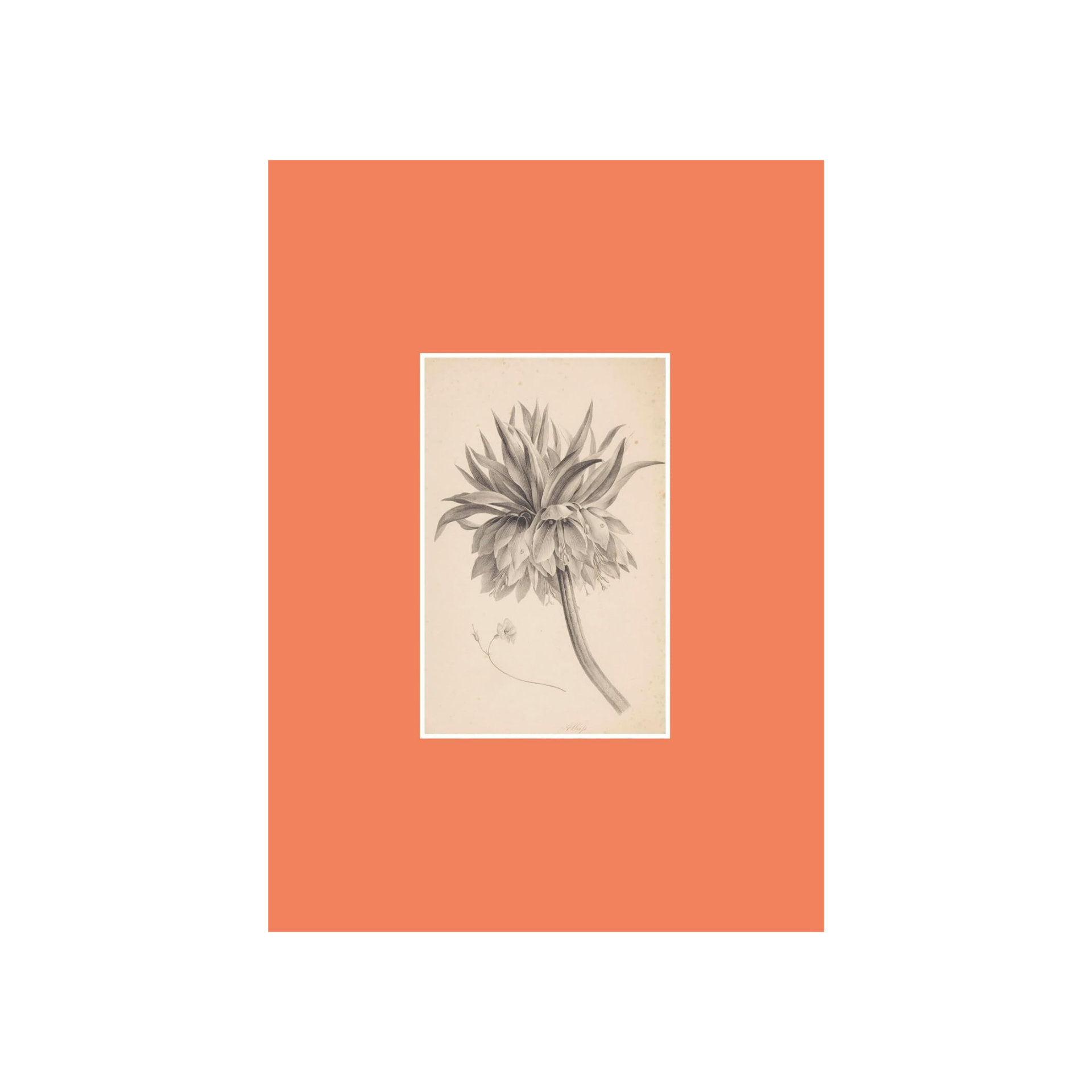 Flow Book for Paper Lovers 14