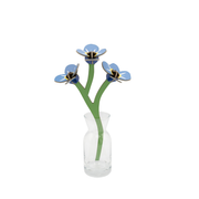 Everlasting Flower Small - Forget Me Not