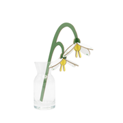 Everlasting Flower Small - Spring Bells