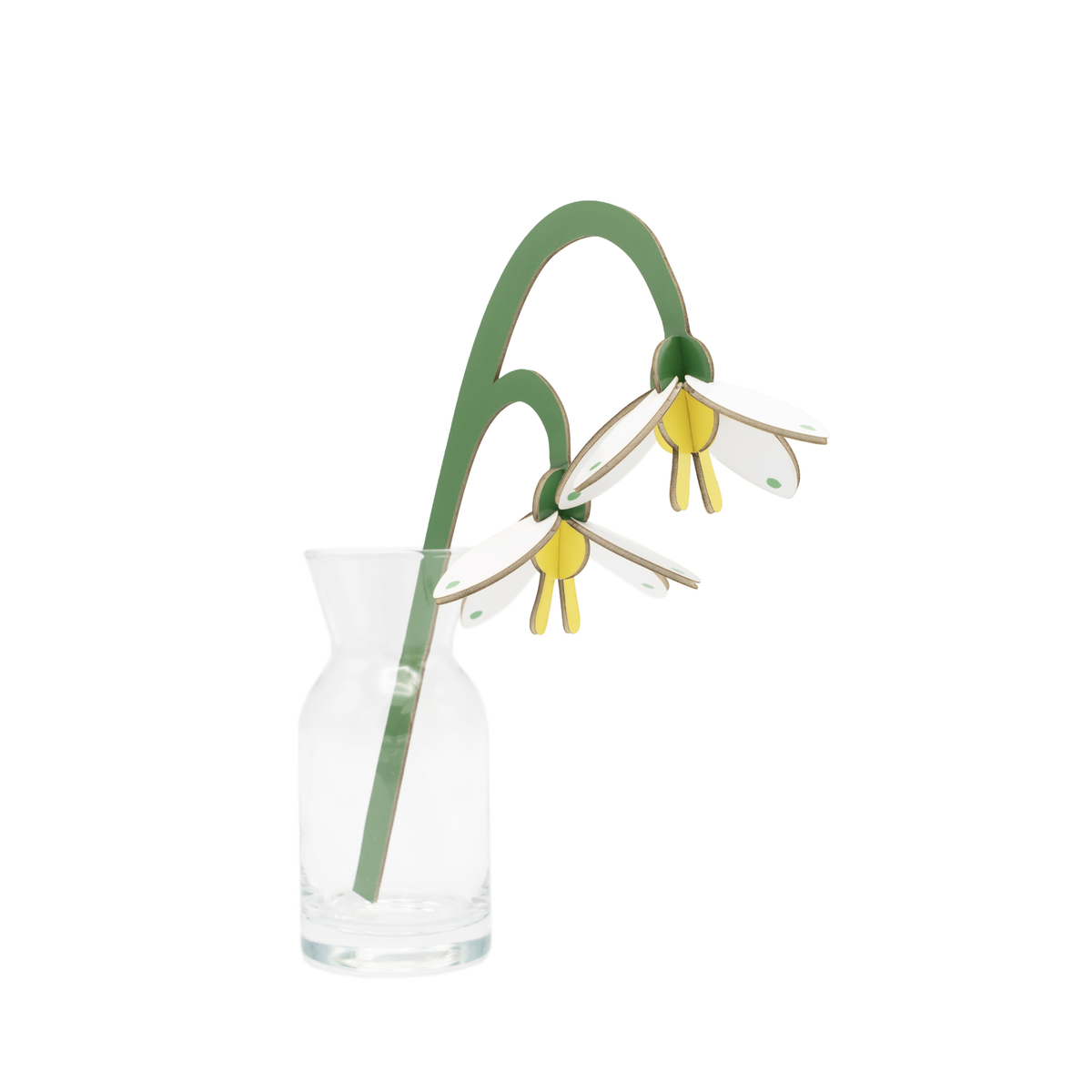 Everlasting Flower Small - Spring Bells