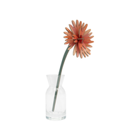 Everlasting Flower Small - Orange Dahlia