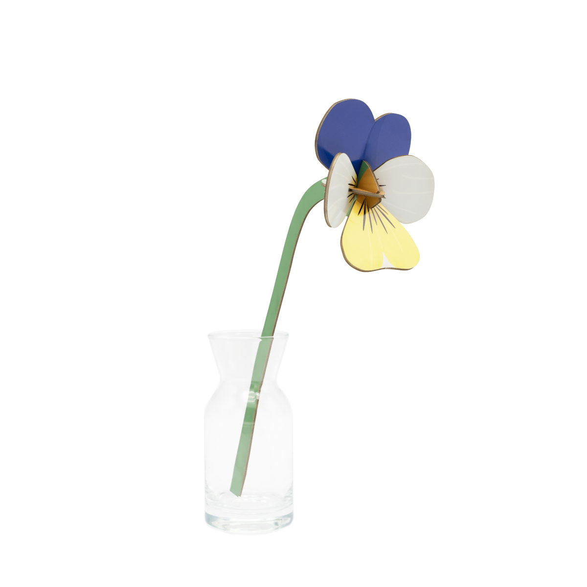 Everlasting Flower Small - Wild Pansy