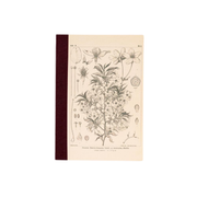 Hobonichi Graph Notebook - Makino Yamazakura