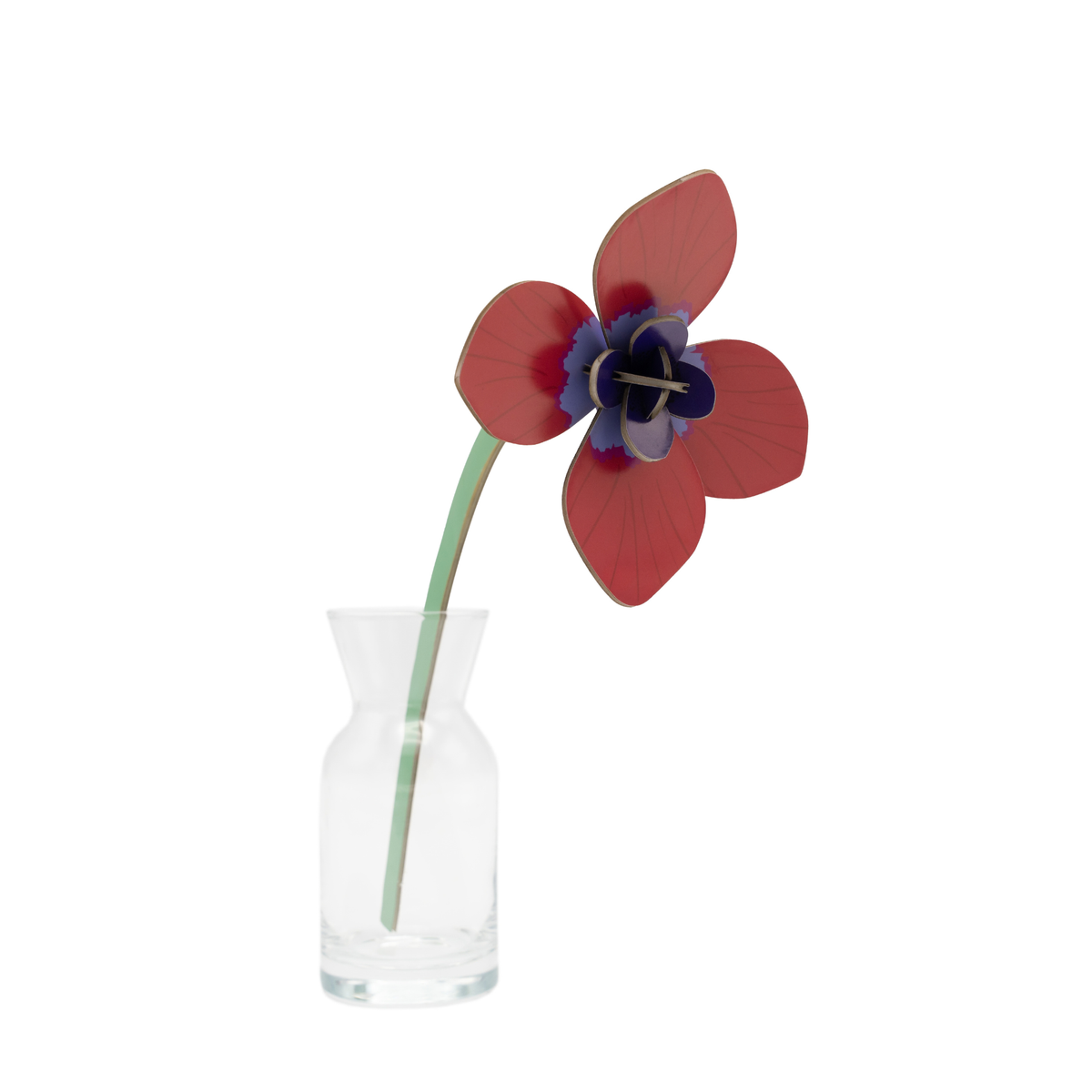 Everlasting Flower Small - Red Anemone