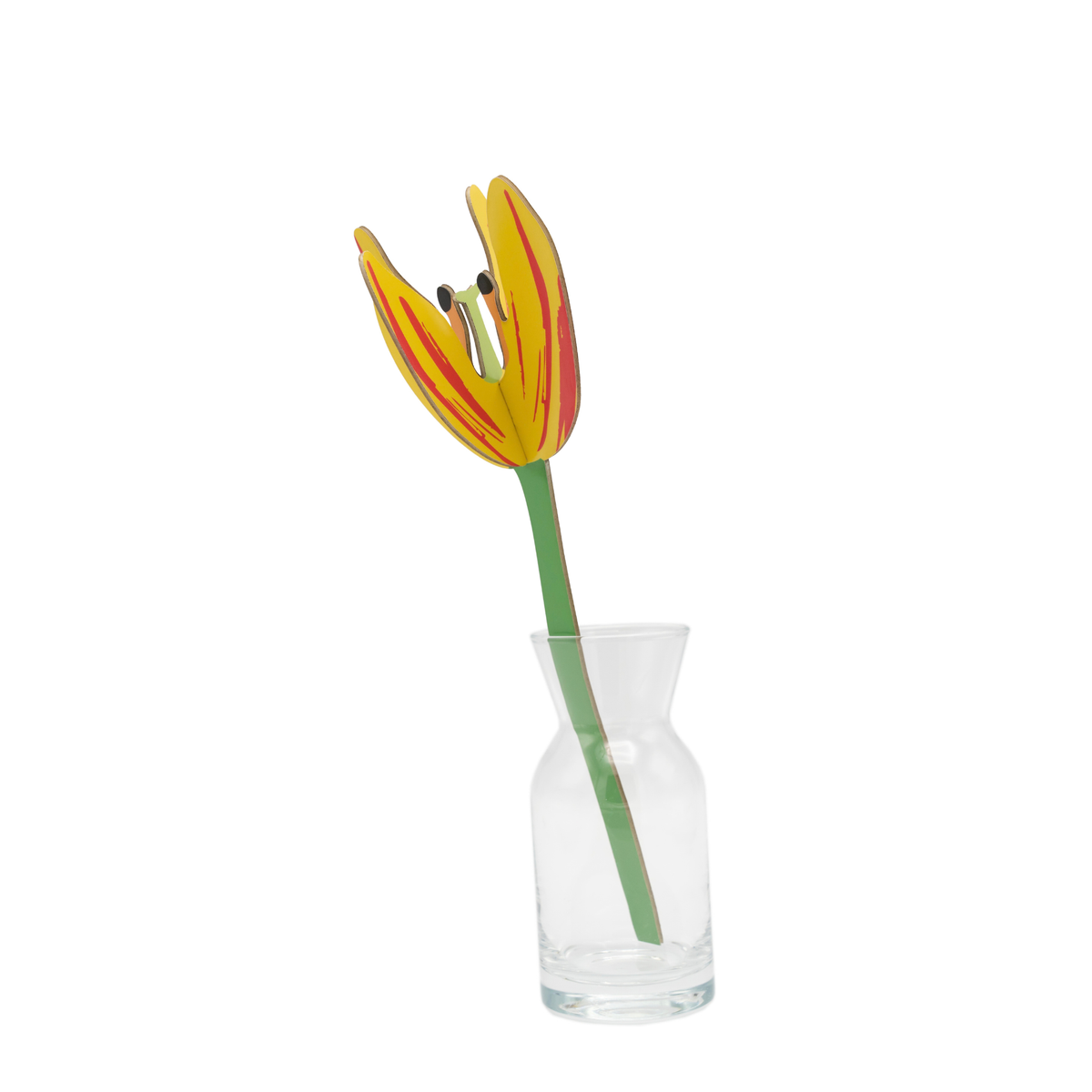 Everlasting Flower Small - Sunset Tulip
