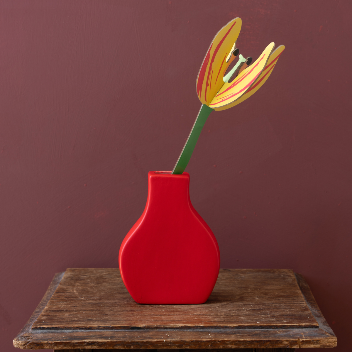 Everlasting Flower Small - Sunset Tulip