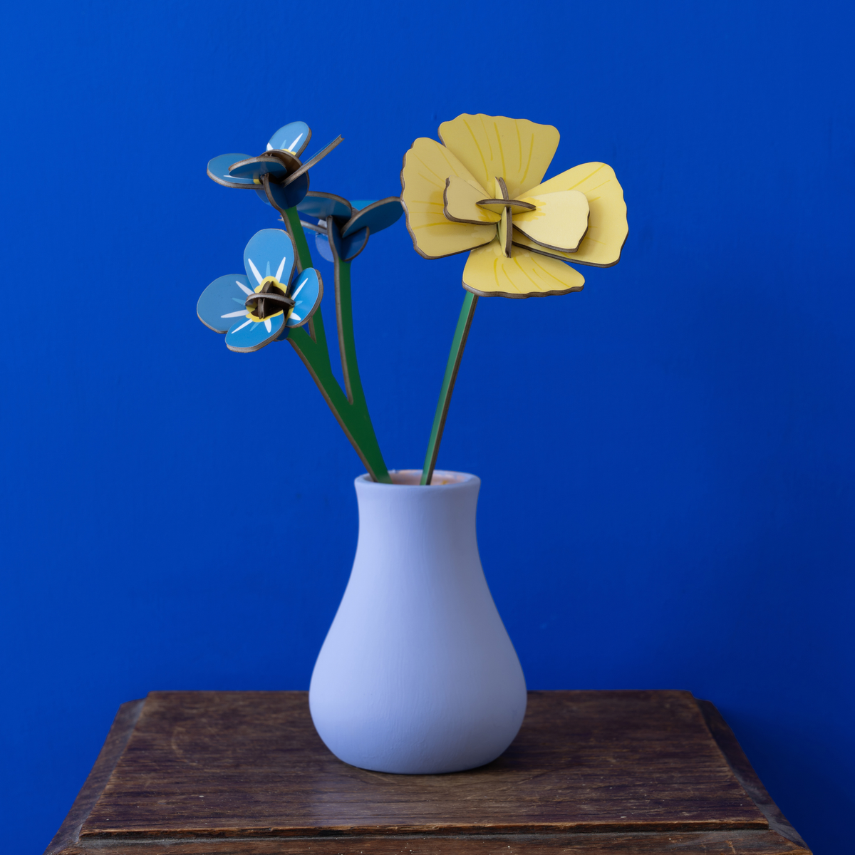 Everlasting Flower Small - Forget Me Not
