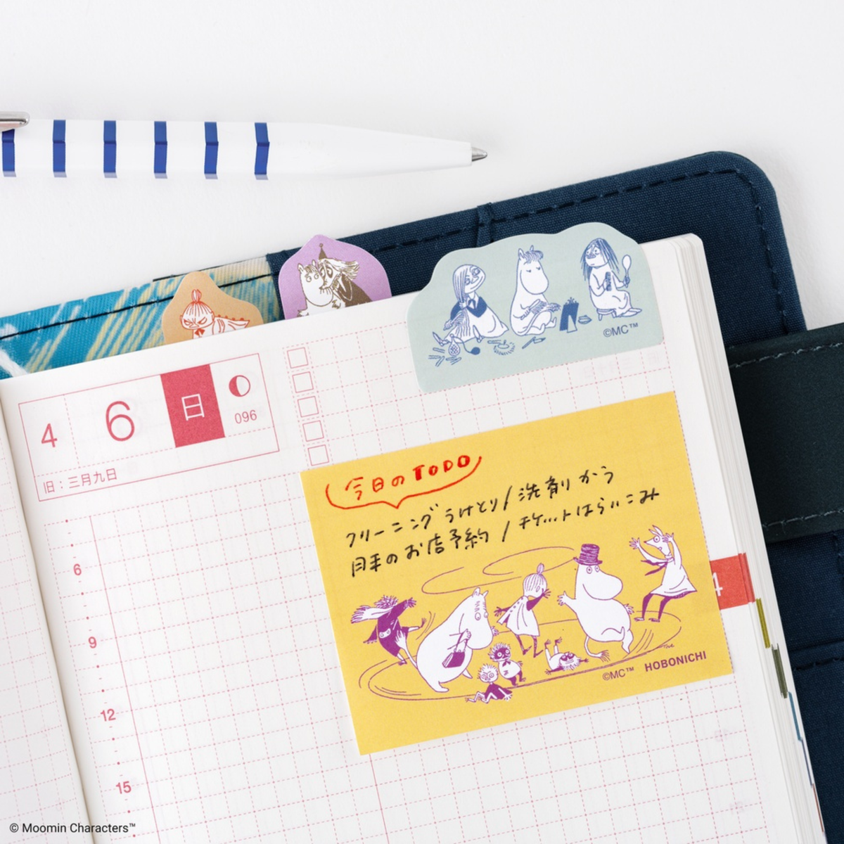 Hobonichi Accessories: Moomin