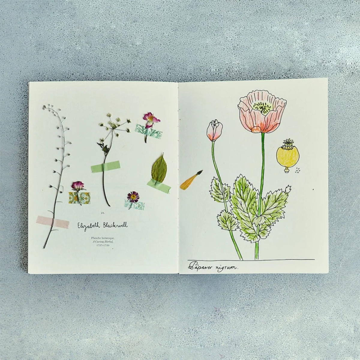 Zoé de Las Cases - Colouring Book Fleurs