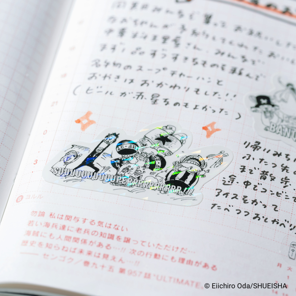 Hobonichi Accessories: One Piece Sticker Set