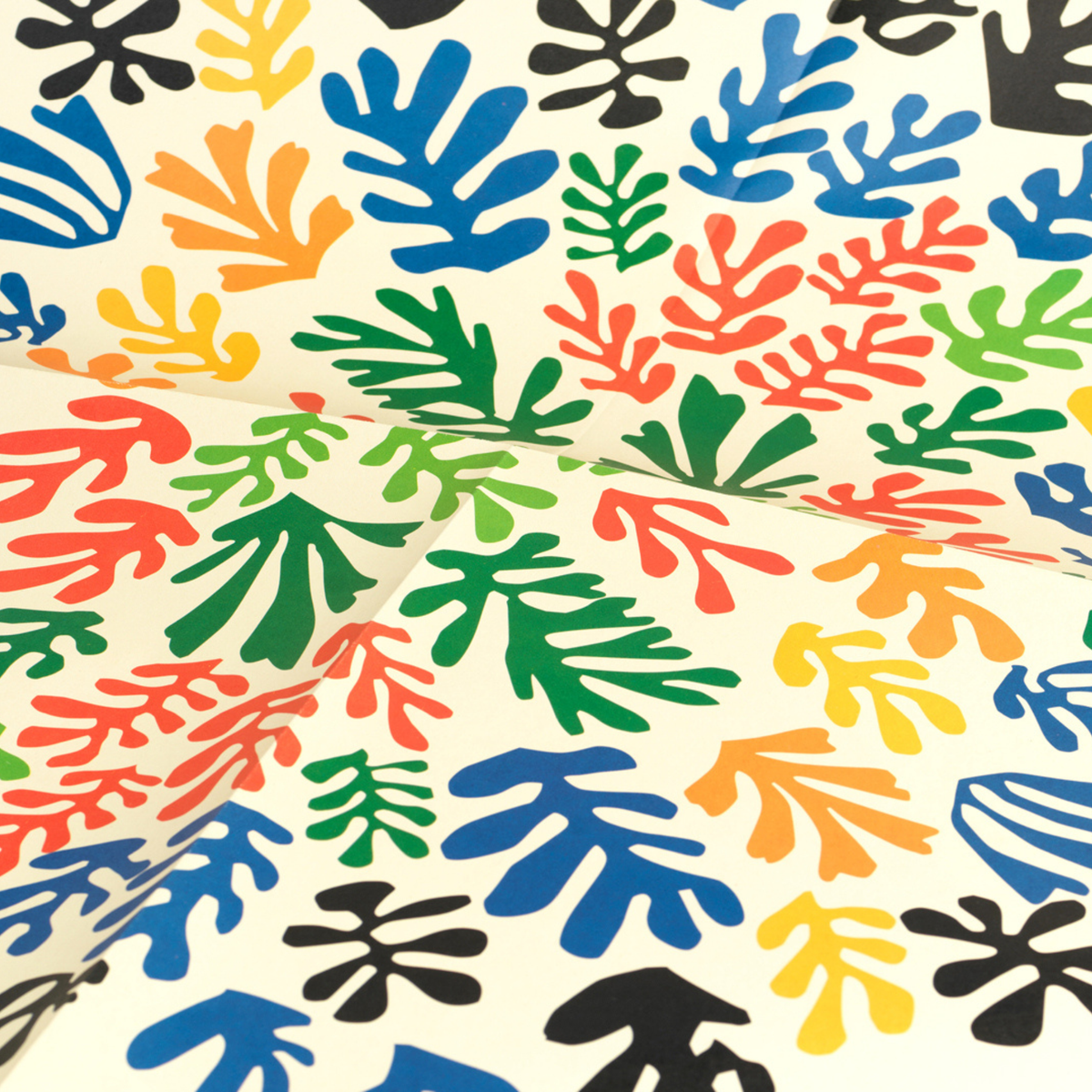 Carta regalo - Matisse