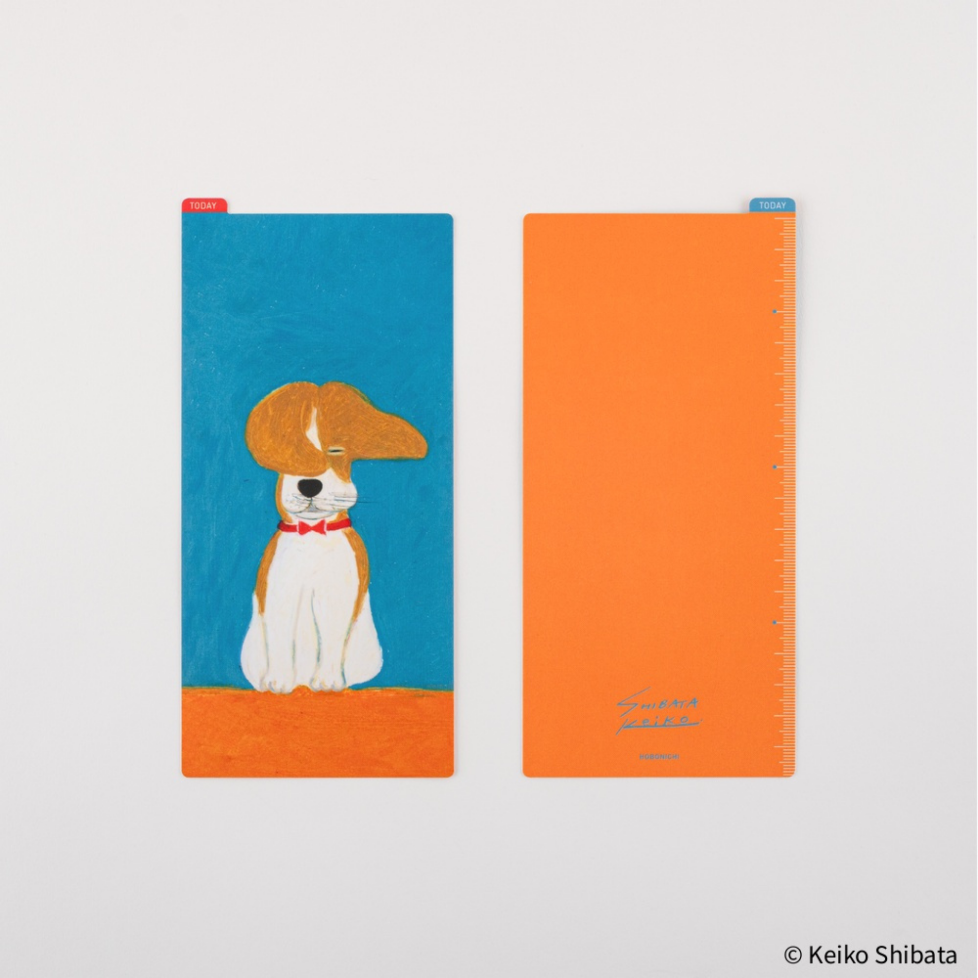 Hobonichi Accessories: Sottopagina Pencil Board Keiko Shibata