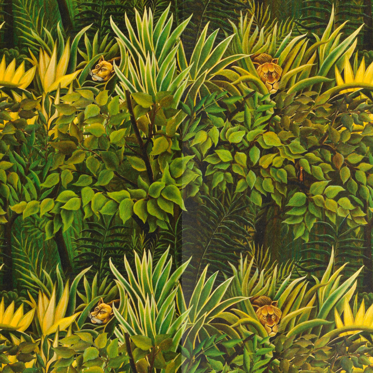 Carta regalo - Rousseau