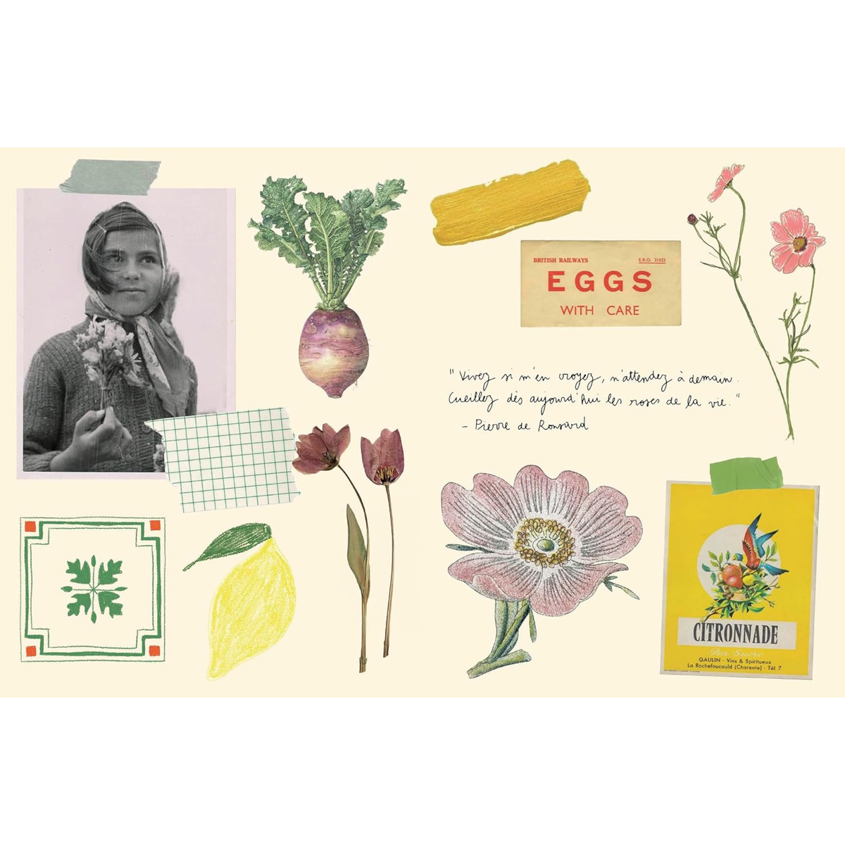 Zoé de La Cases - Le Bazar Sicker Book