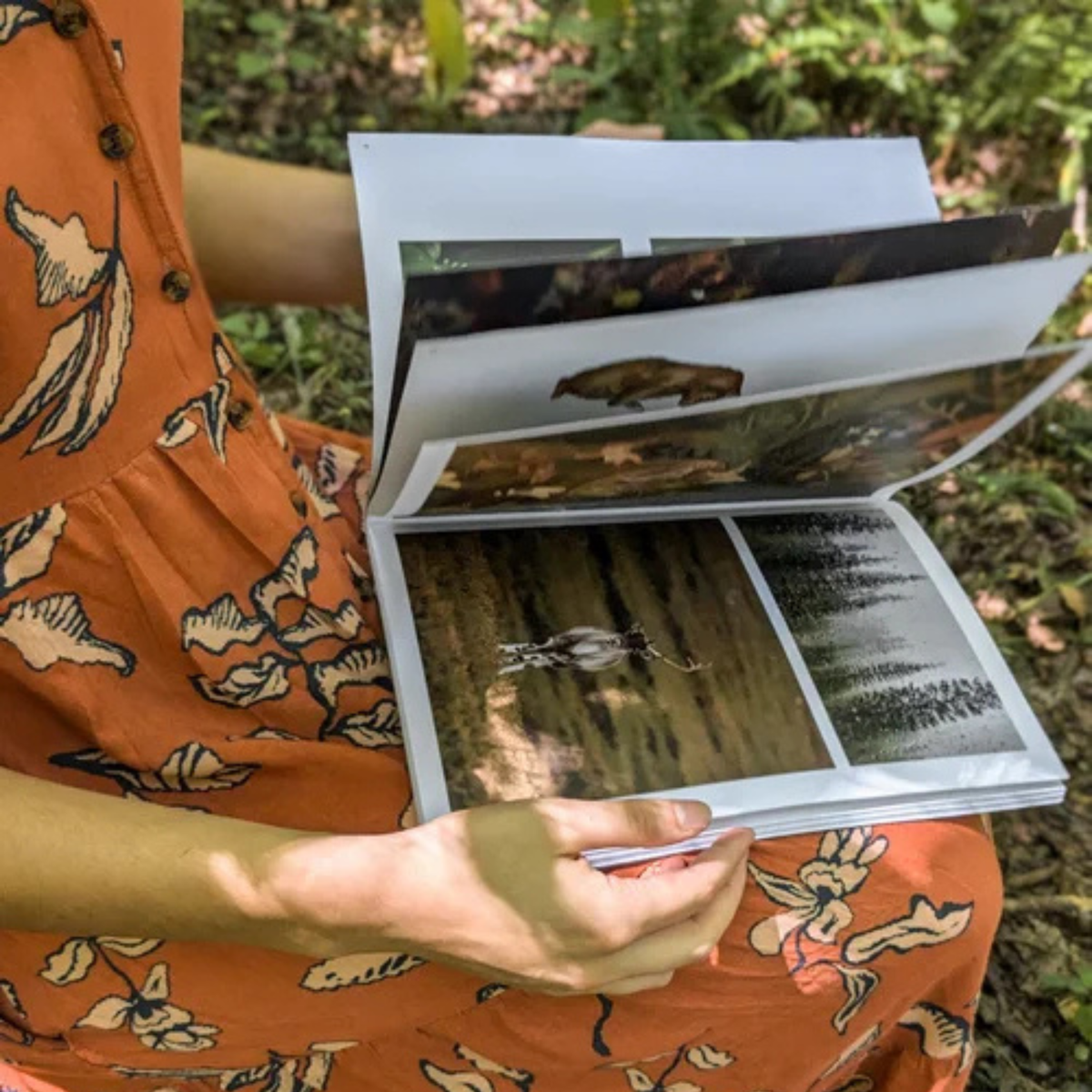 Cut + Paste WOODLAND — Issue 09
