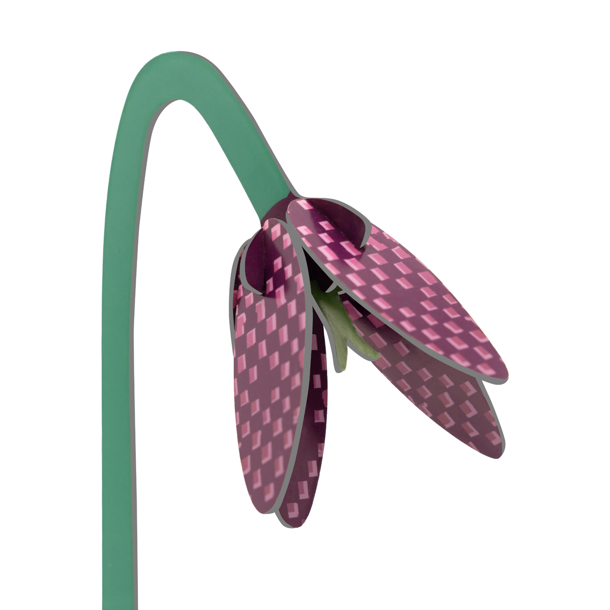 Everlasting Flower Small - Checkered Lily