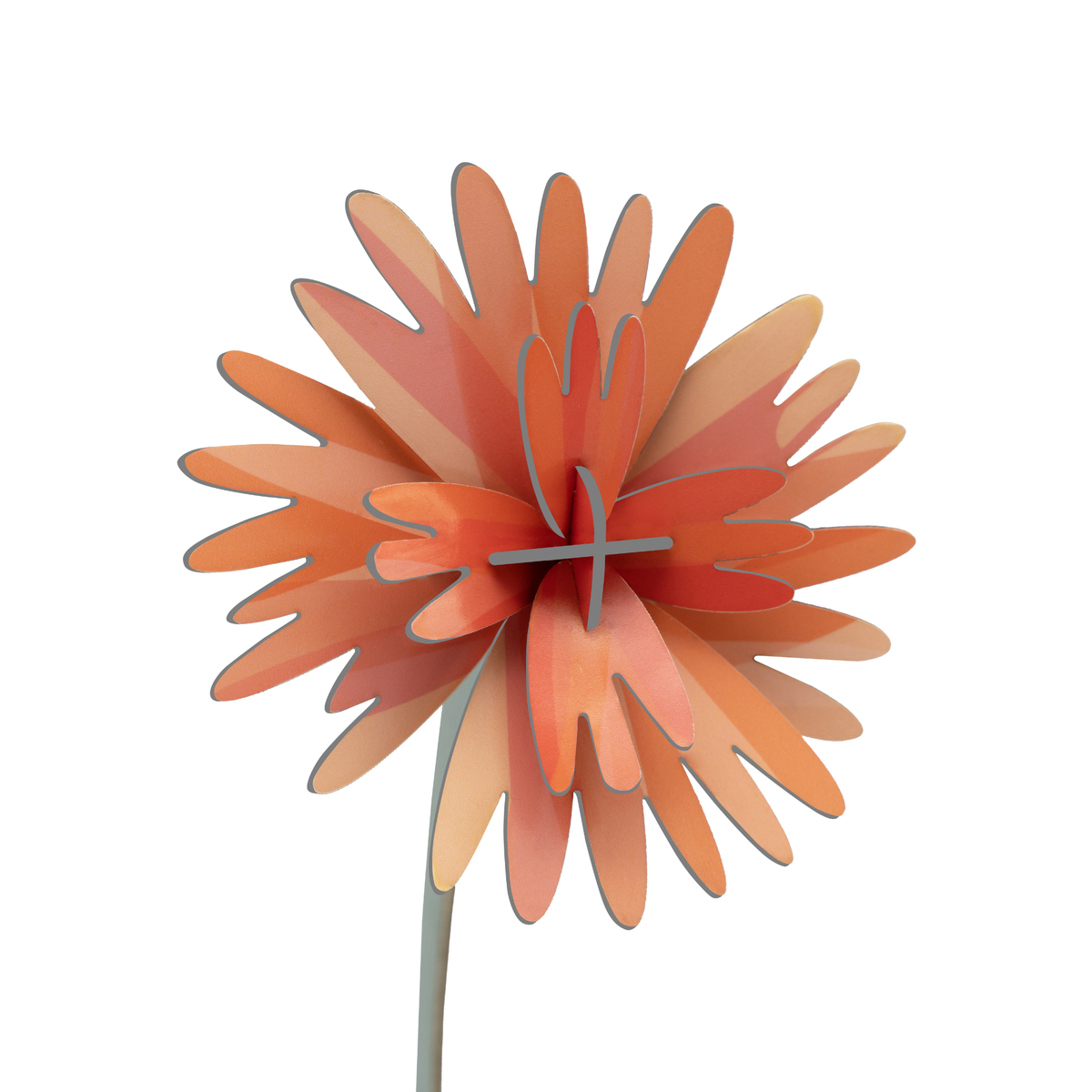 Everlasting Flower Small - Orange Dahlia
