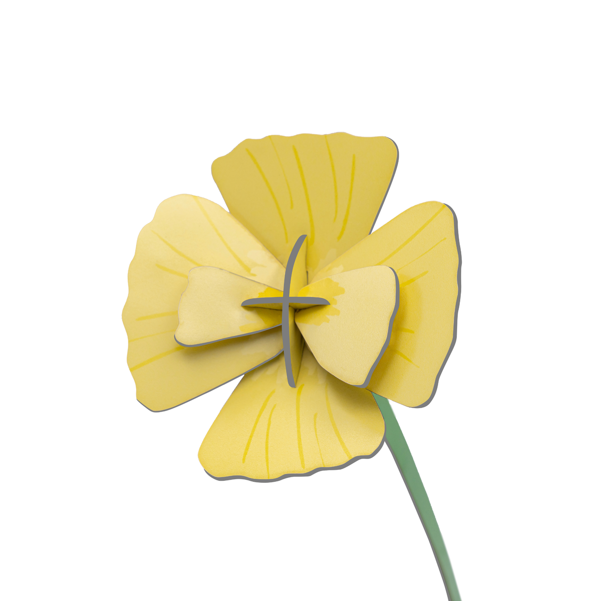 Everlasting Flower Small - Golden Poppy