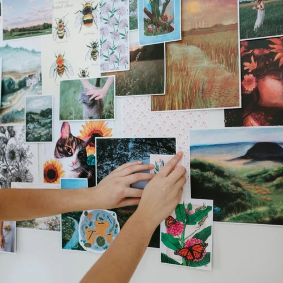 Cut + Paste MEADOW — Issue 01