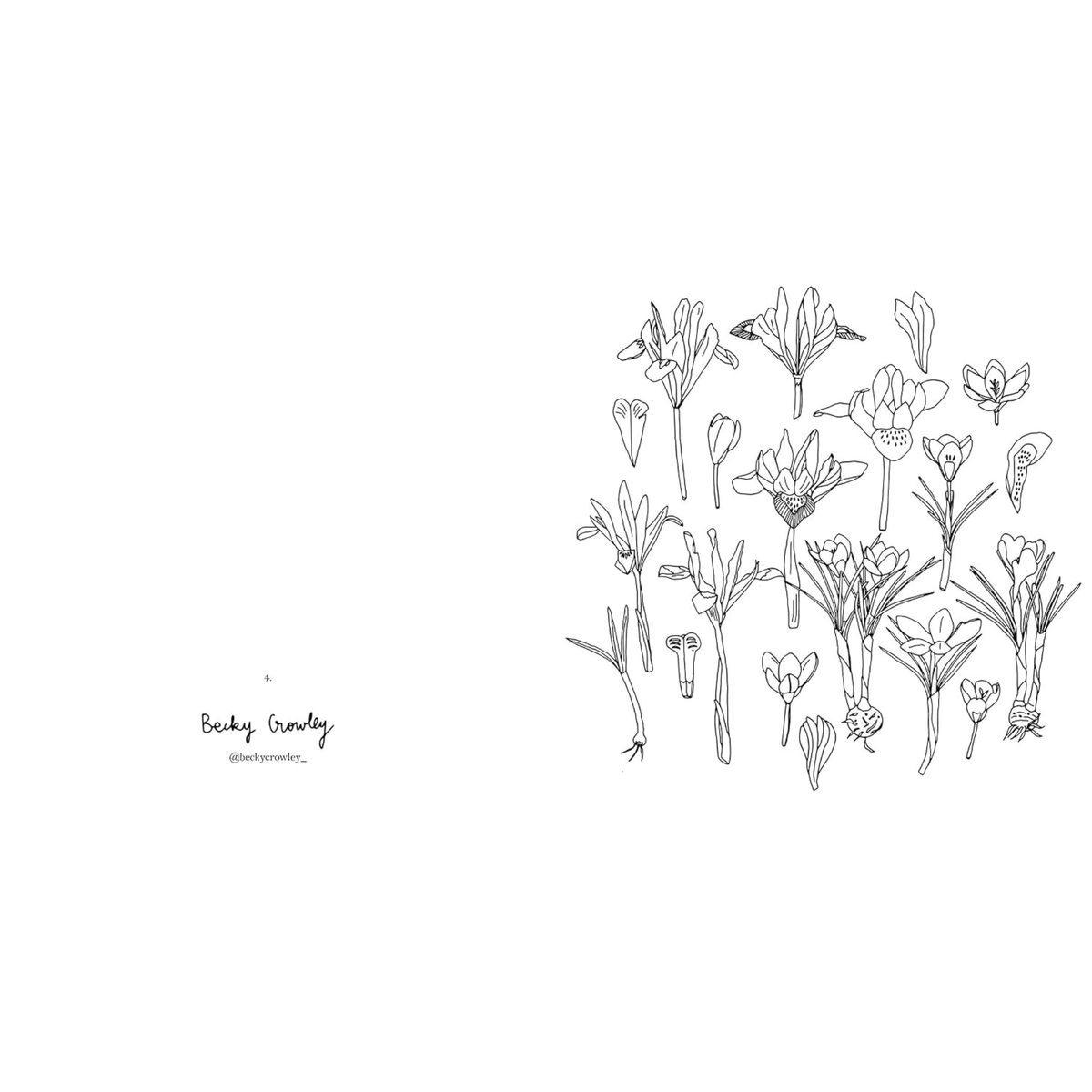 Zoé de Las Cases - Colouring Book Fleurs