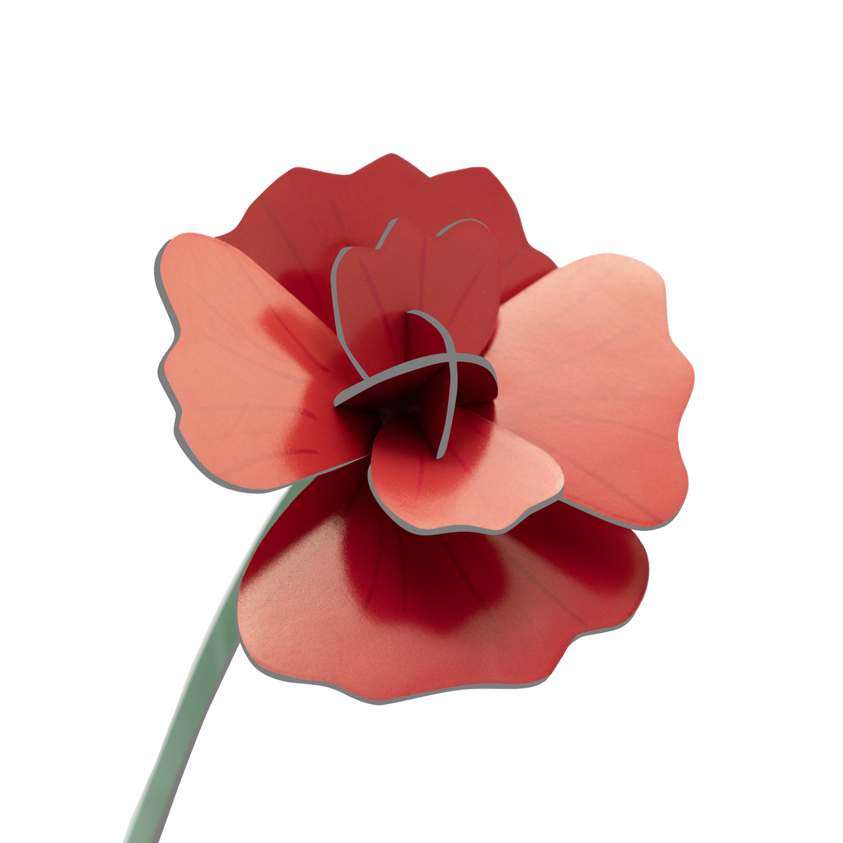Everlasting Flower Small - Red Rose