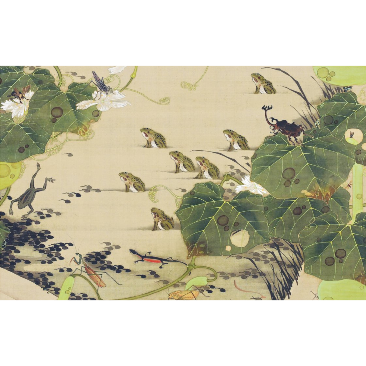 Ito Jakuchu. La natura incantata