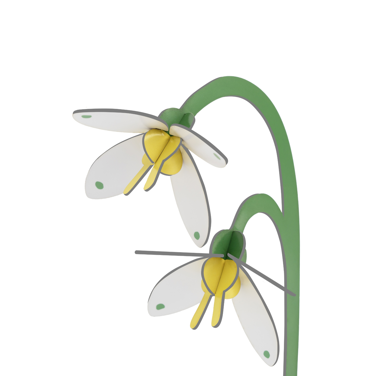 Everlasting Flower Small - Spring Bells