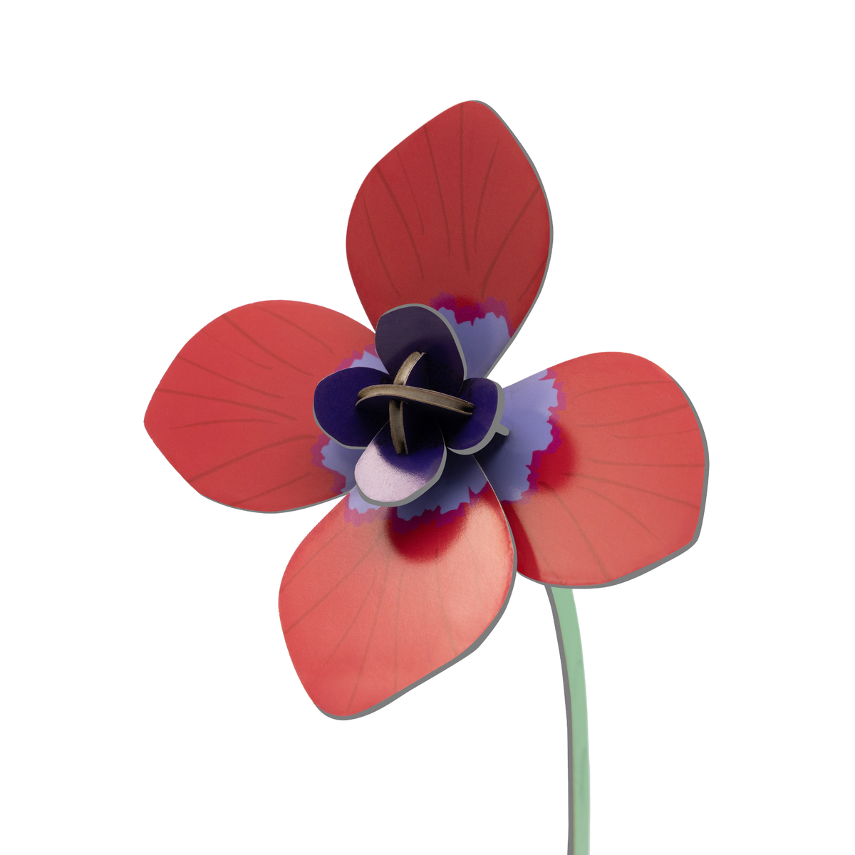 Everlasting Flower Small - Red Anemone