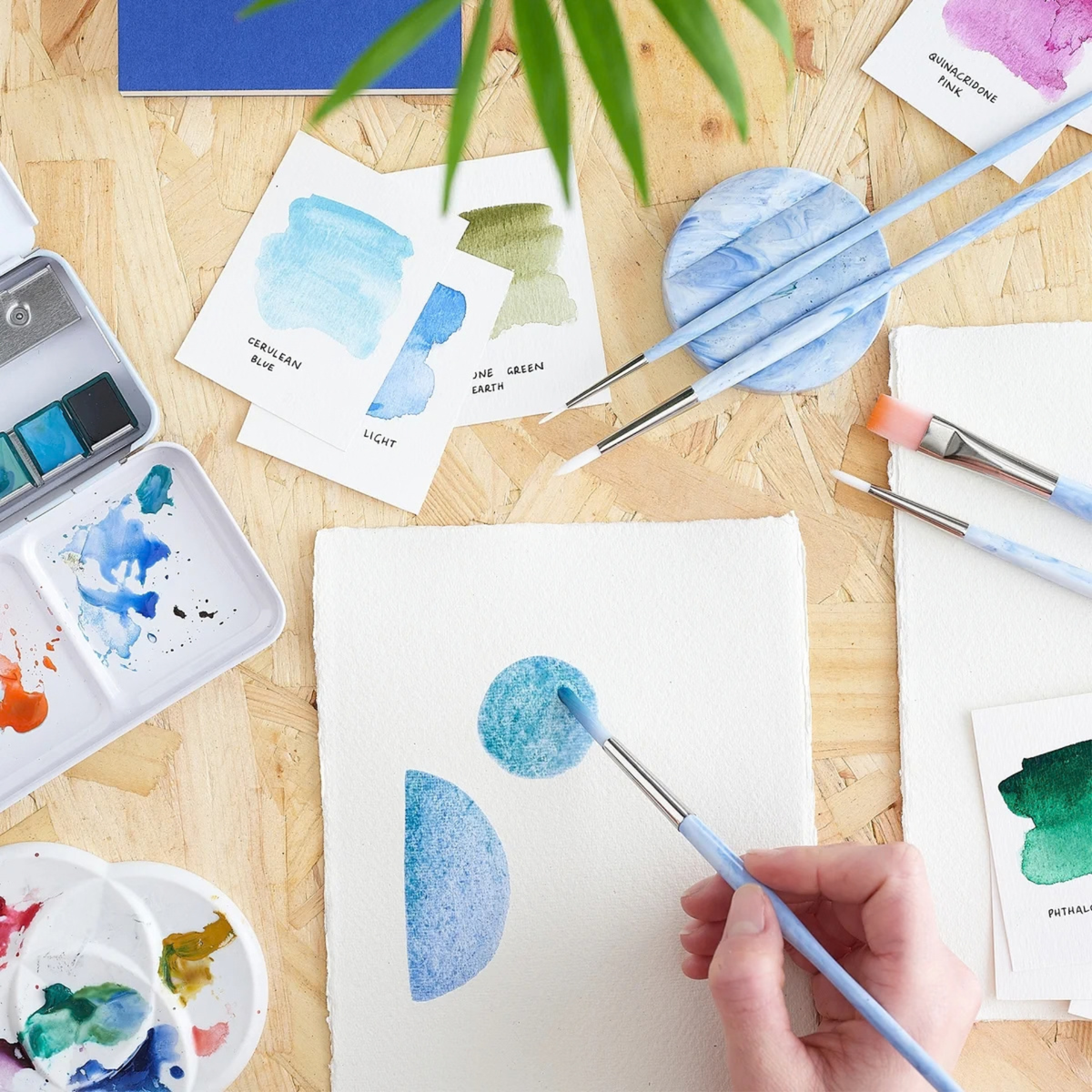 Write Off Paintbrush Set