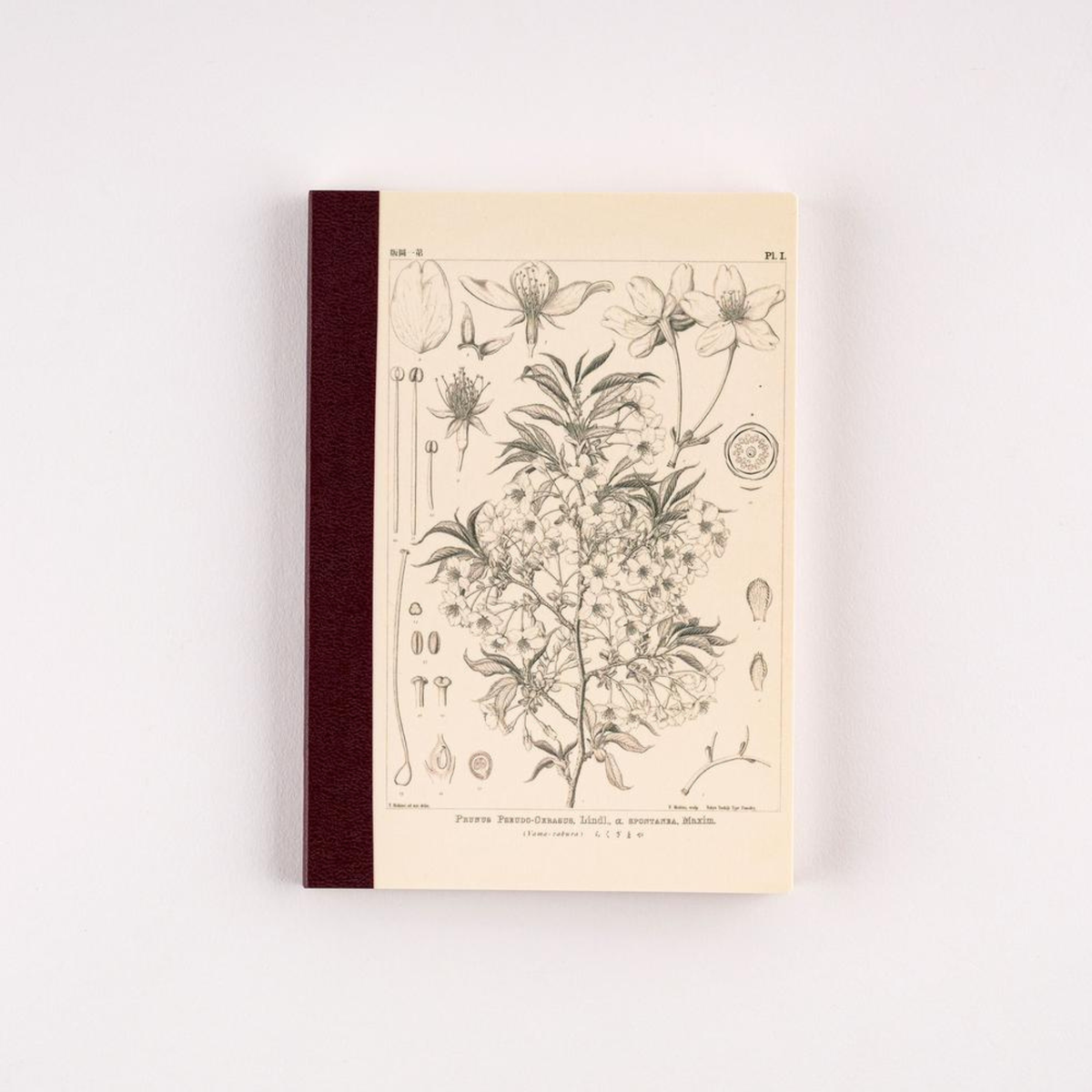 Hobonichi Graph Notebook - Makino Yamazakura