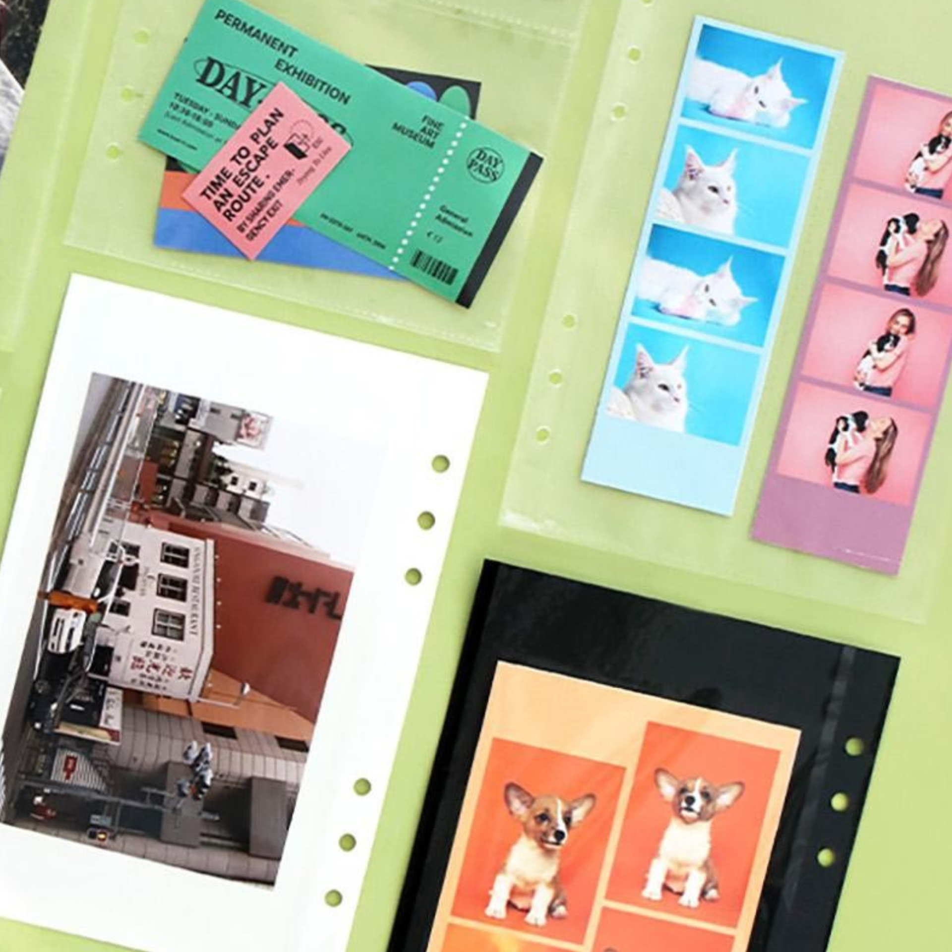 Refill Record On 6 Ring Binder A5
