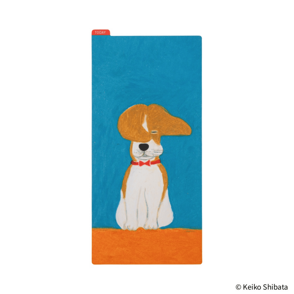 Hobonichi Accessori Hobonichi Accessories: Sottopagina Pencil Board Keiko Shibata