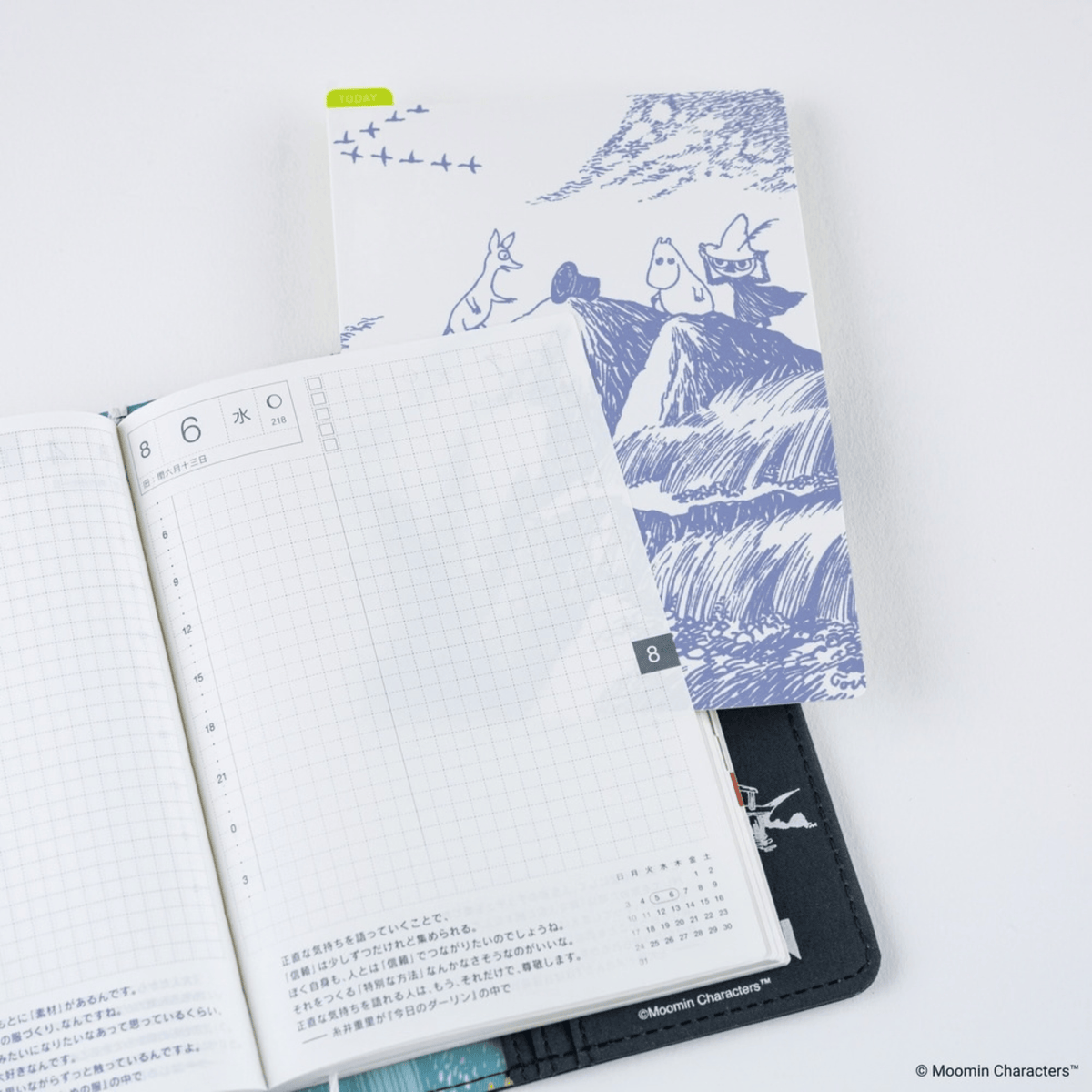 Hobonichi Accessori Hobonichi Accessories: Sottopagina Pencil Board Moomin