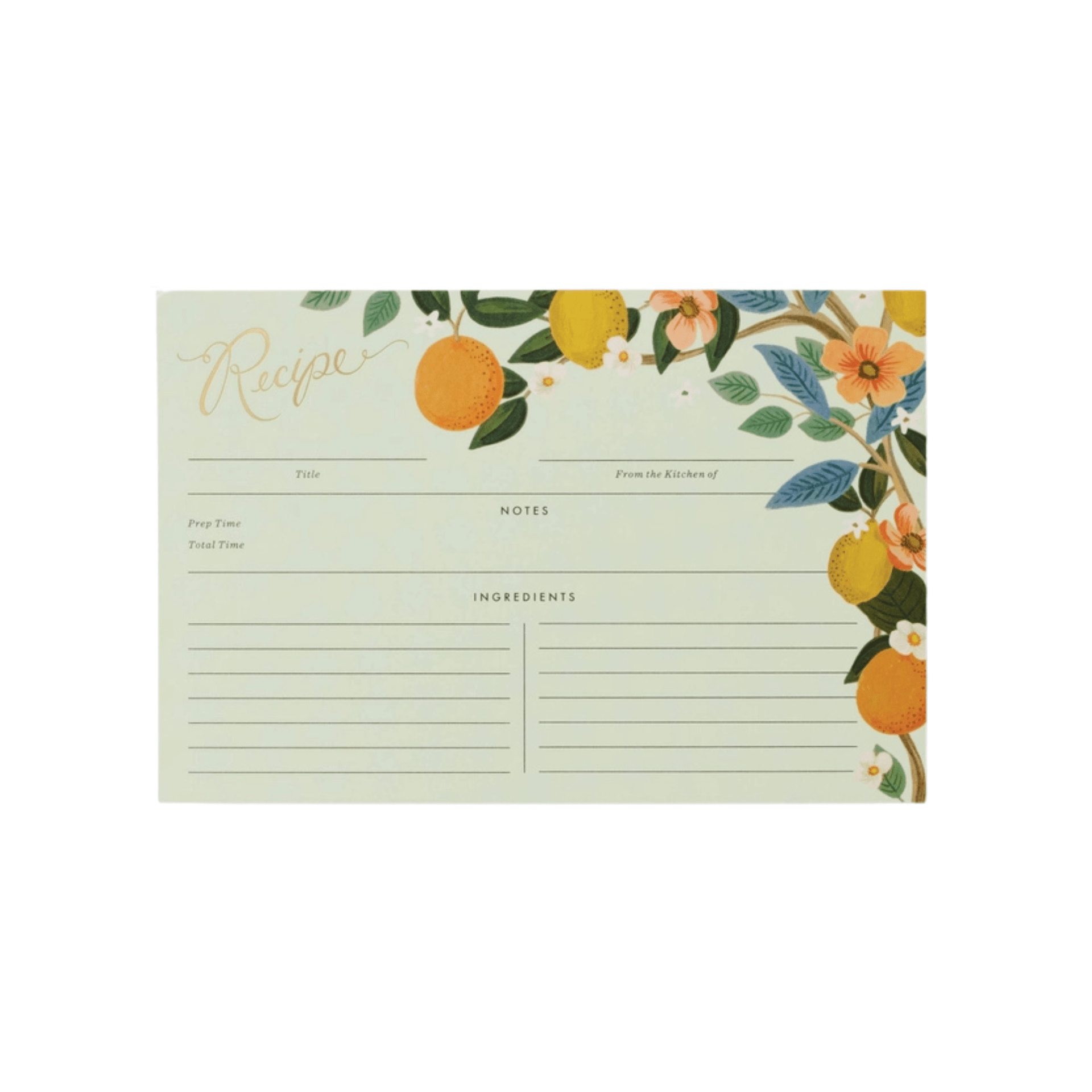 Rifle Paper Accessori Refill schede ricettario Rifle Paper Citrus
