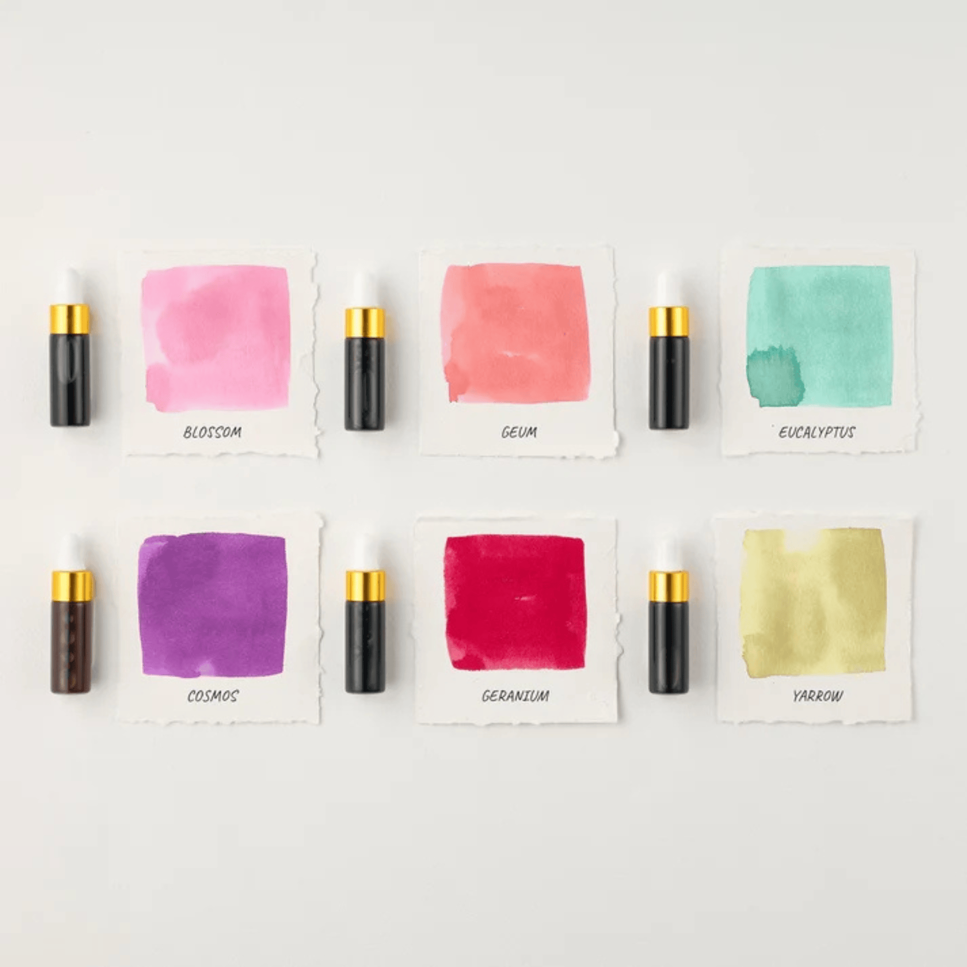Tom's Studio Accessori Sakura Mini Ink Collection