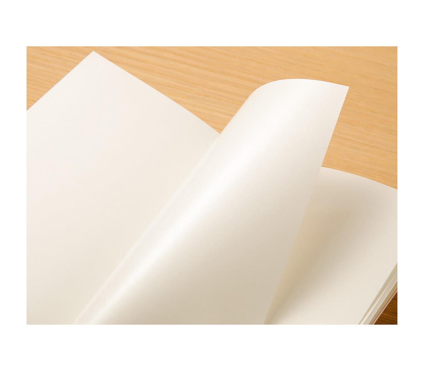 Traveler's Company Japan Accessori Traveler's Passport Stickers Release Paper