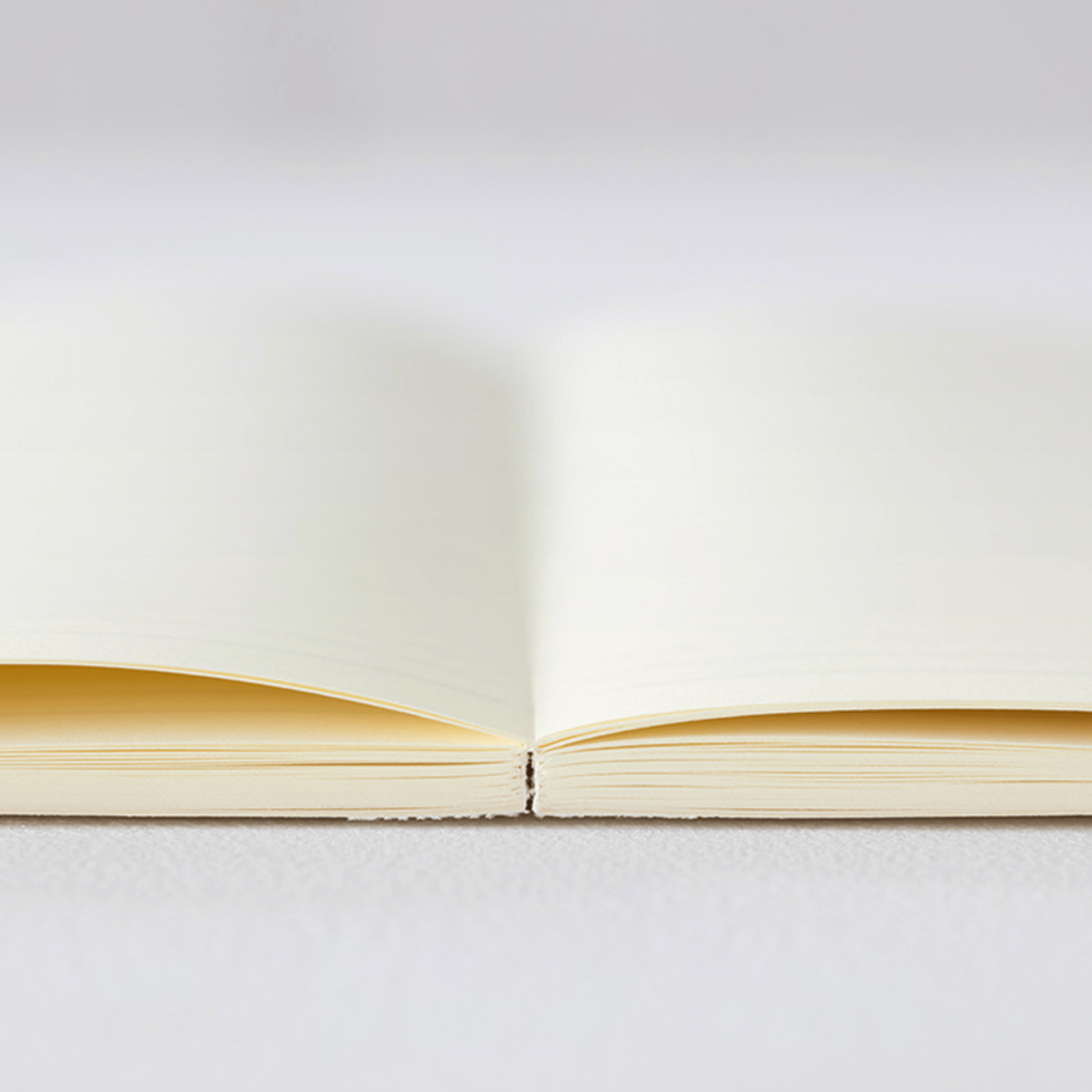 Midori Agenda Agenda MD Paper Notebook Diary 2026 Weekly A5