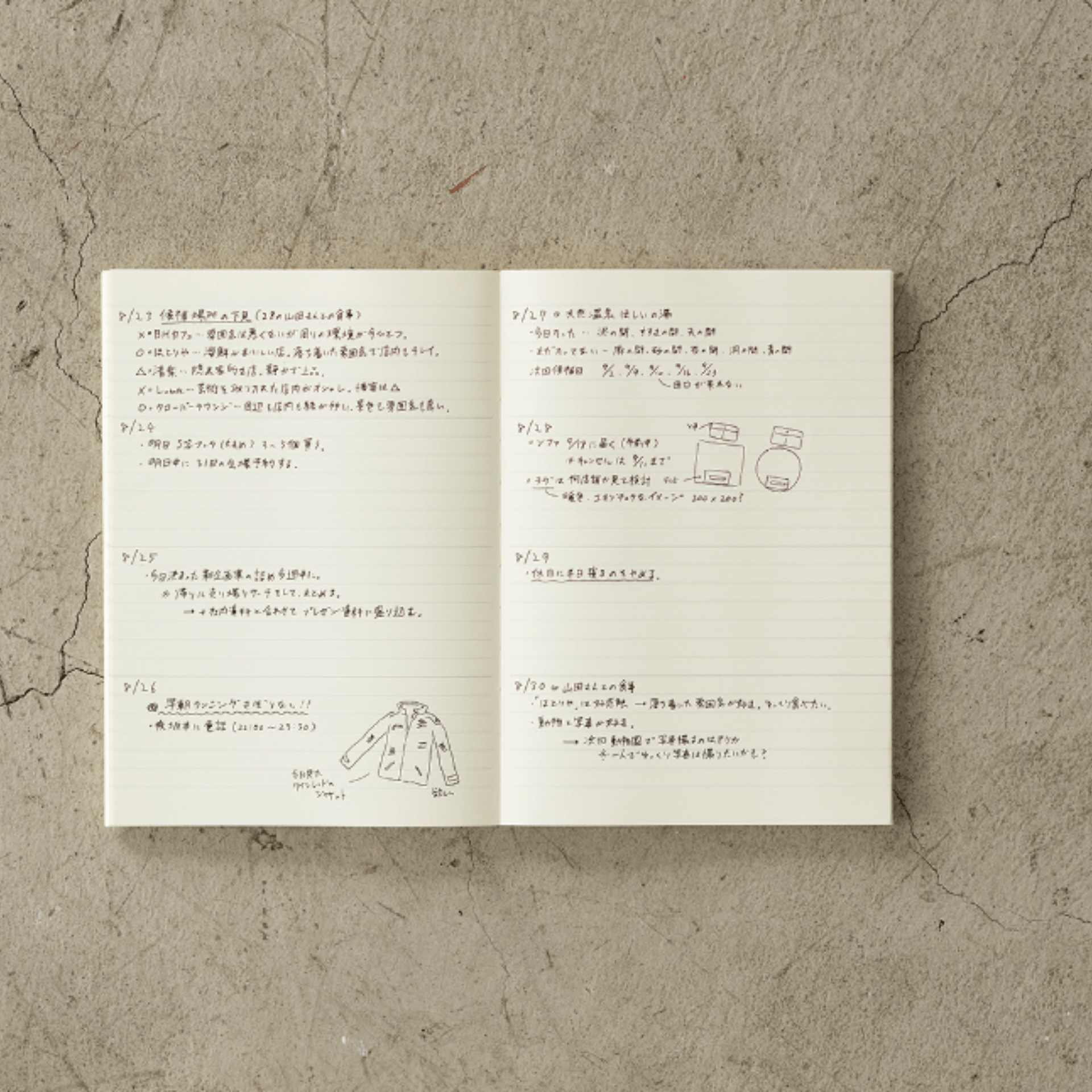 Midori Agenda Agenda MD Paper Notebook Diary 2026 Weekly A5