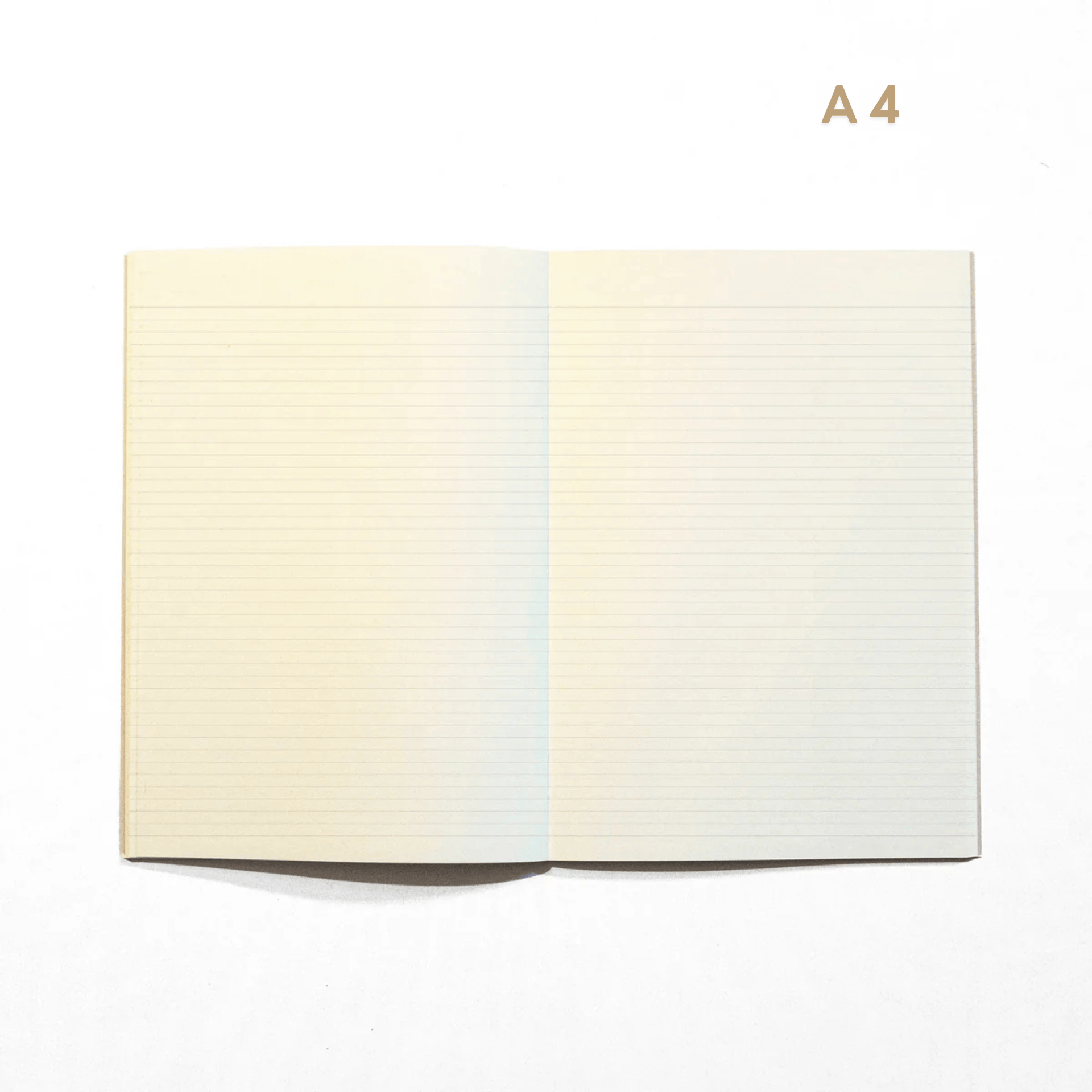 Octagon Agenda Agenda Mensile - Monthly Plus 2026/2027