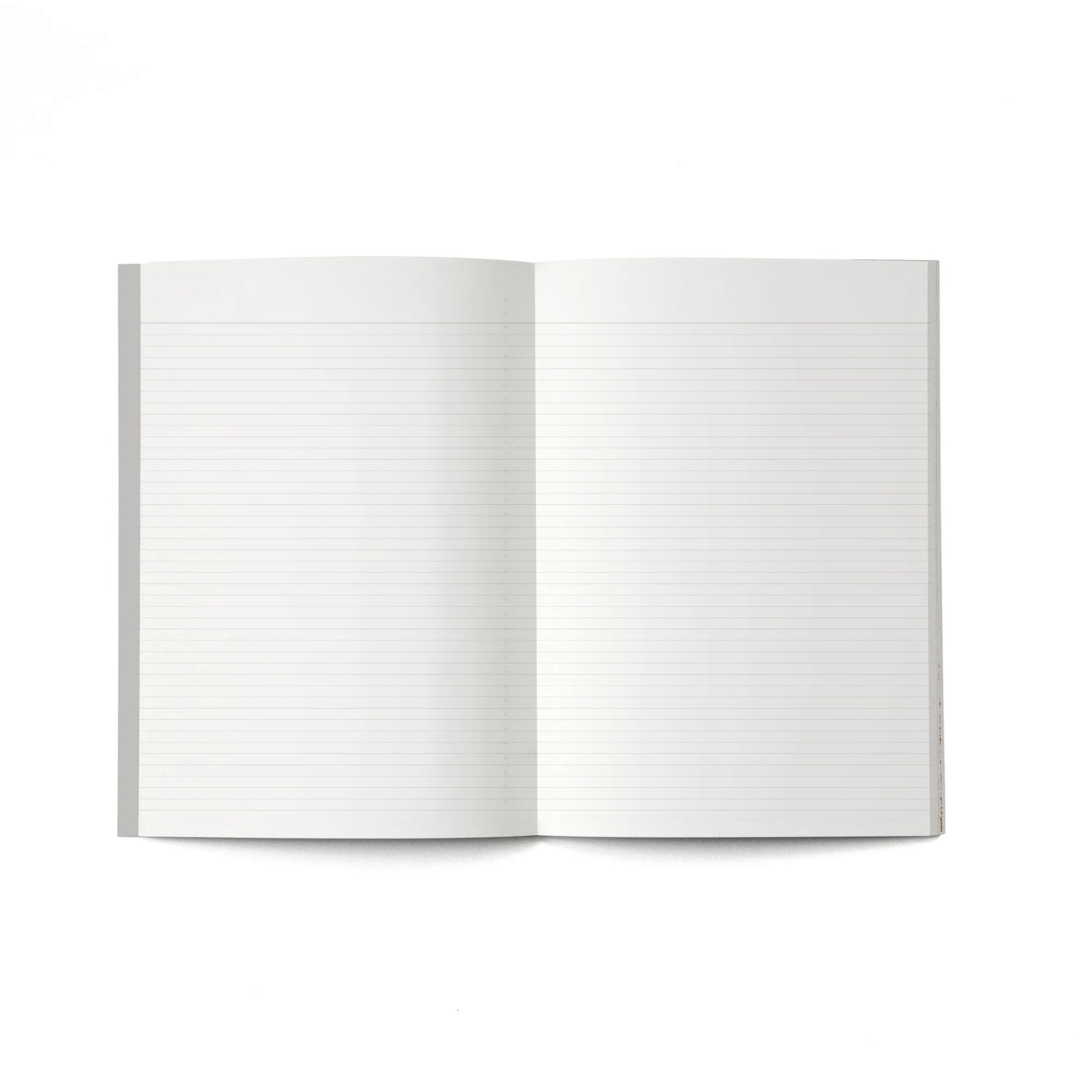 Octagon Agenda Agenda Monthly Plus 2026